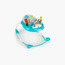 Baby Einstein Sky Explorers Walker-baby-infantactivity-walkers-image-2
