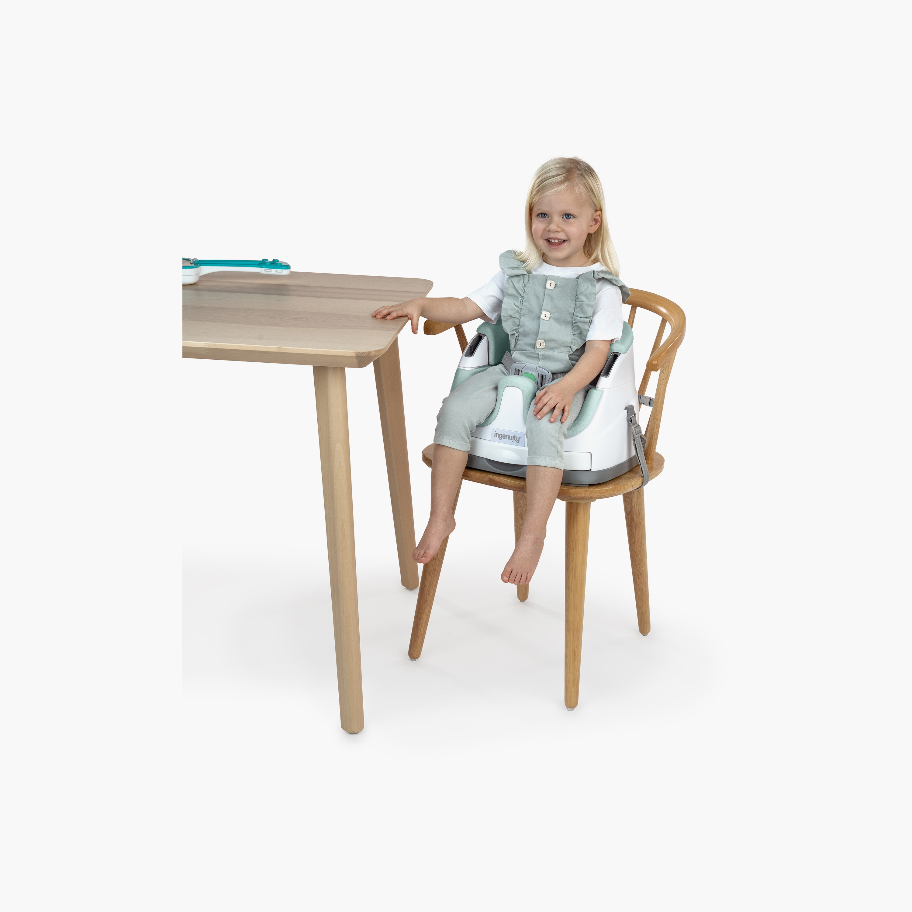  مقعد بيبي بيس 2 في 1 من إنجينيويتي-baby-feeding-highchairsandboosters-image-4
