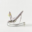 كرسي هزّاز للأطفال من جونيورز-baby-infantactivity-rockers-image-13