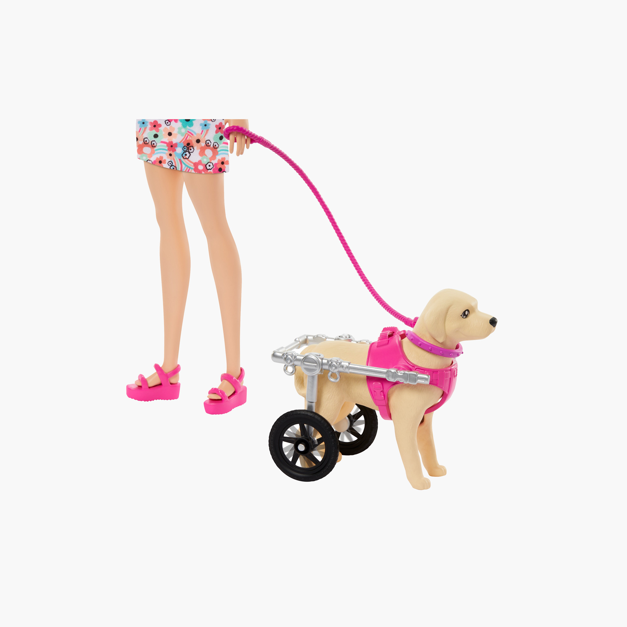 Barbie Doll with 2 Toy Dogs & Accessories, 1 Pup in Removable Wheelchair with Wheels, 10+ Piece Set-toys-dollsandplaysets-dollplaysets-image-2