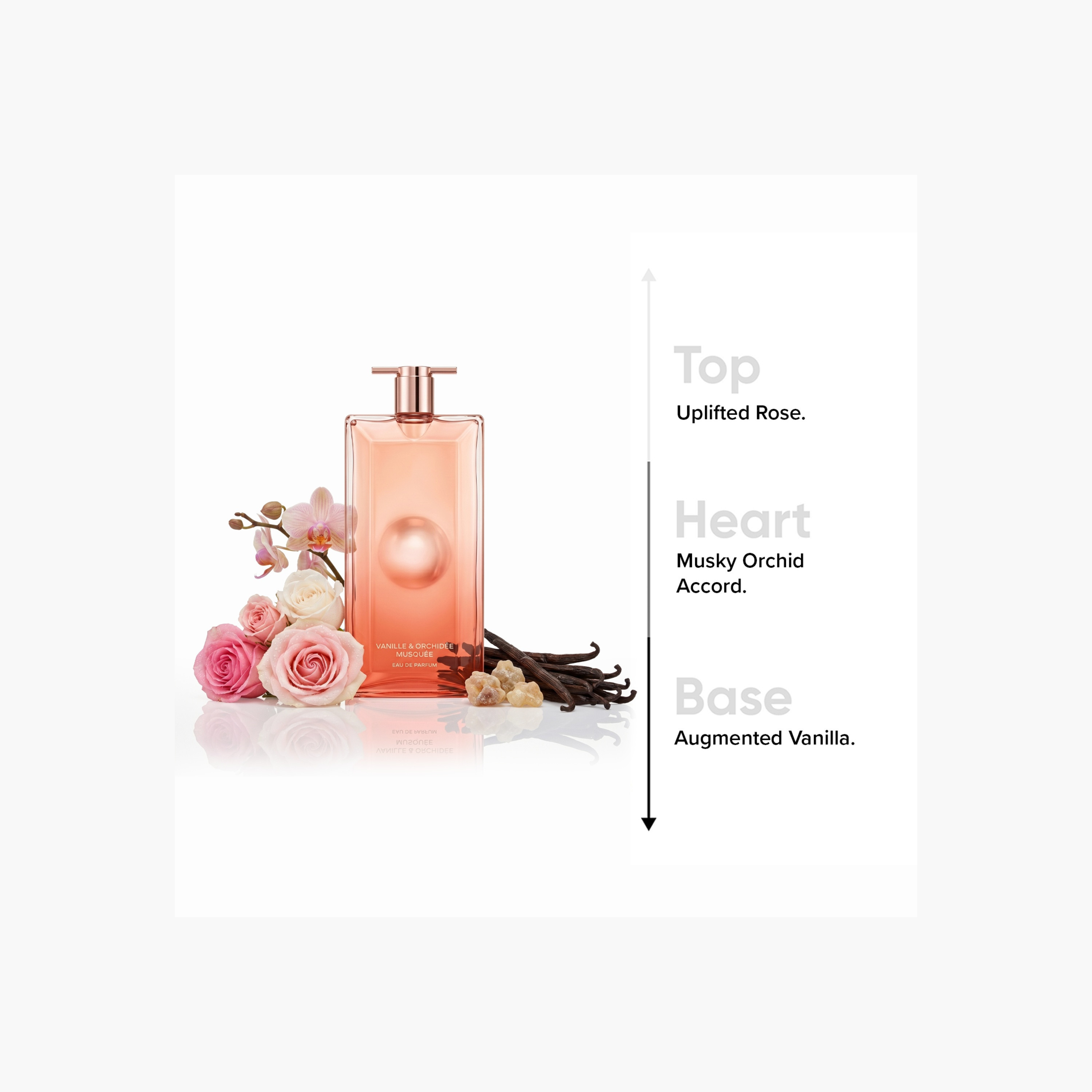 عطر أو دي برفان أيدول ناو للنساء من لانكوم - 100 مل-beautyandpersonalcare-fragrance-women-image-5