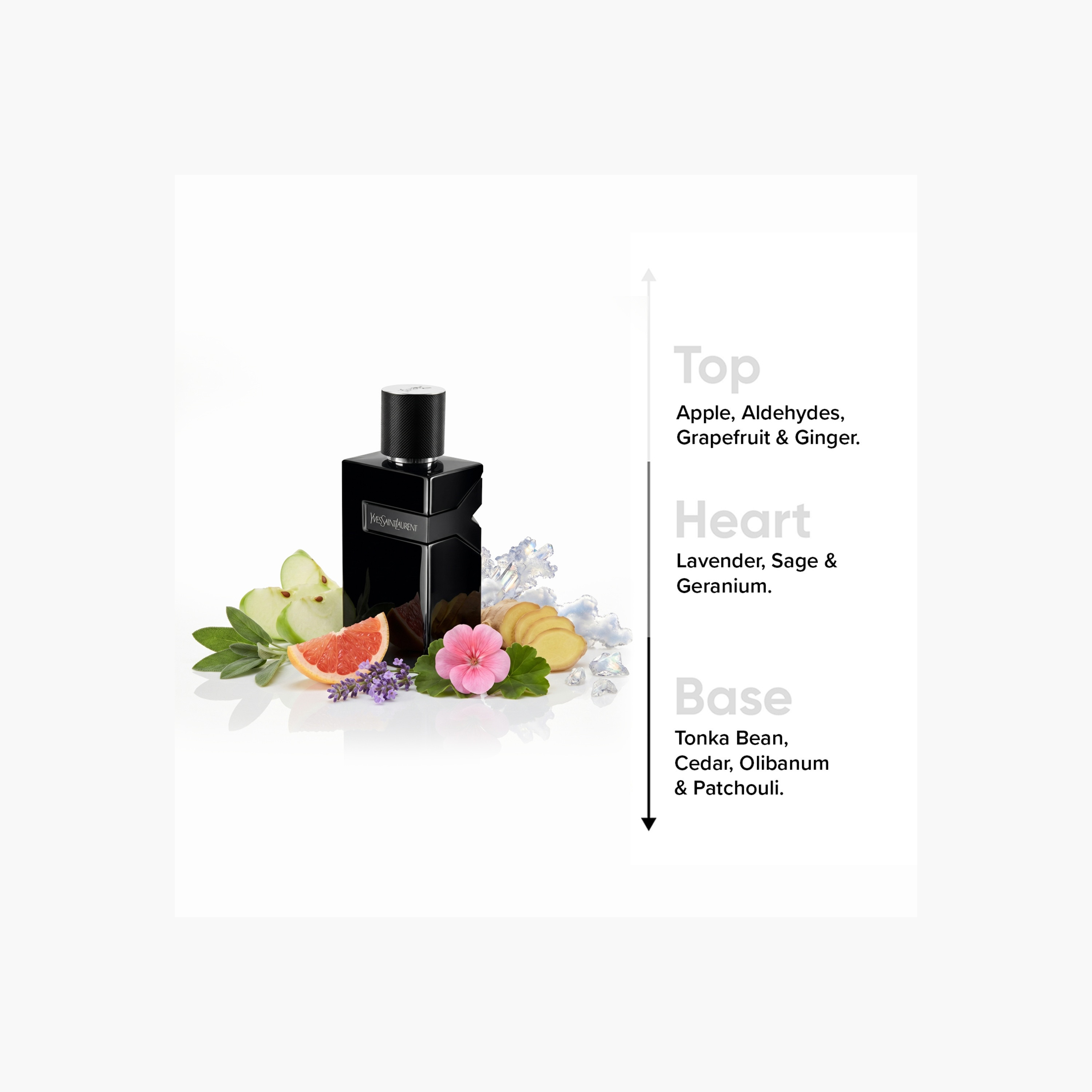 Yves Saint Laurent Y Le Parfum for Men - 100 ml-beautyandpersonalcare-fragrance-men-image-2