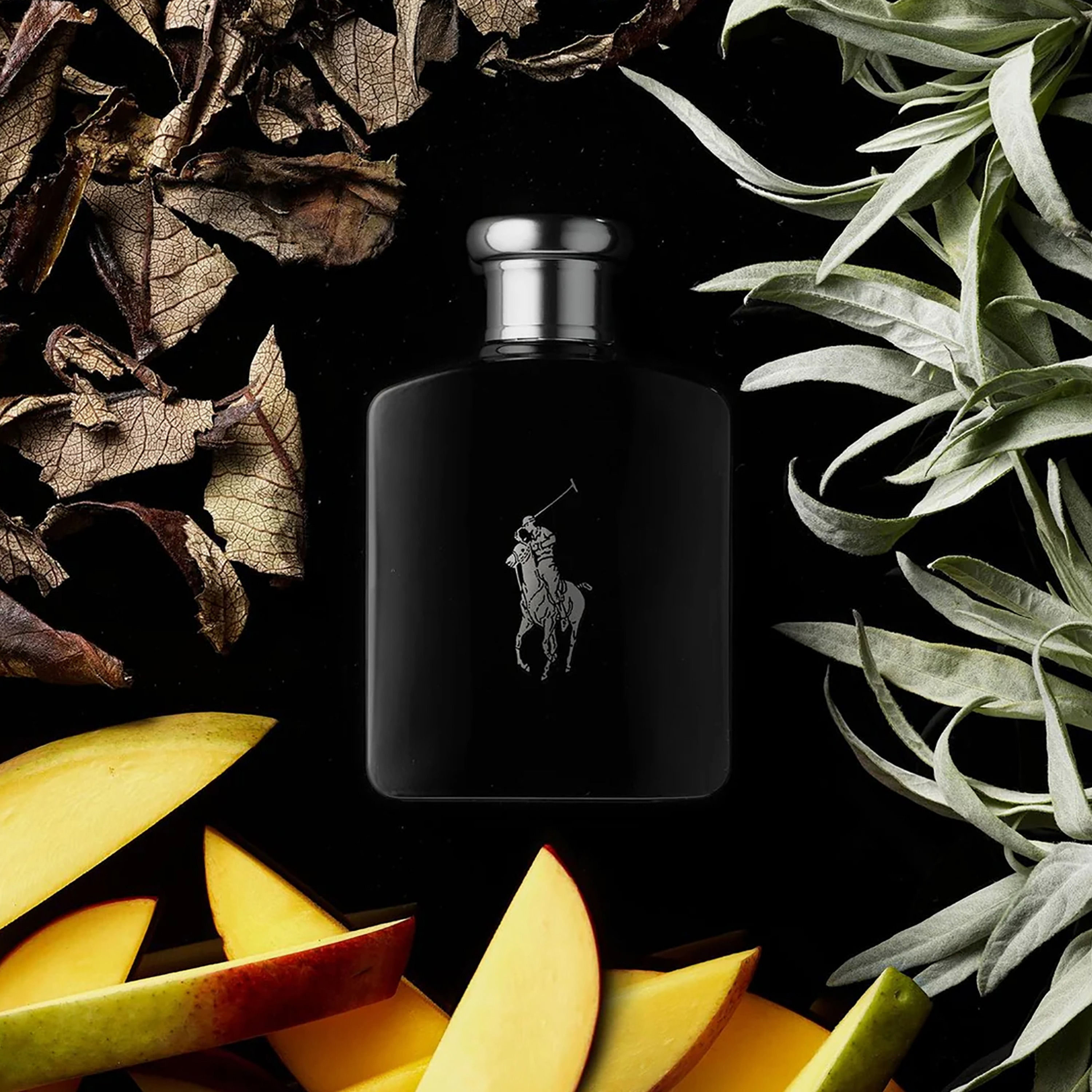 Ralph Lauren Polo Black Eau de Toilette For Men, 75ml-beautyandpersonalcare-fragrance-men-image-3