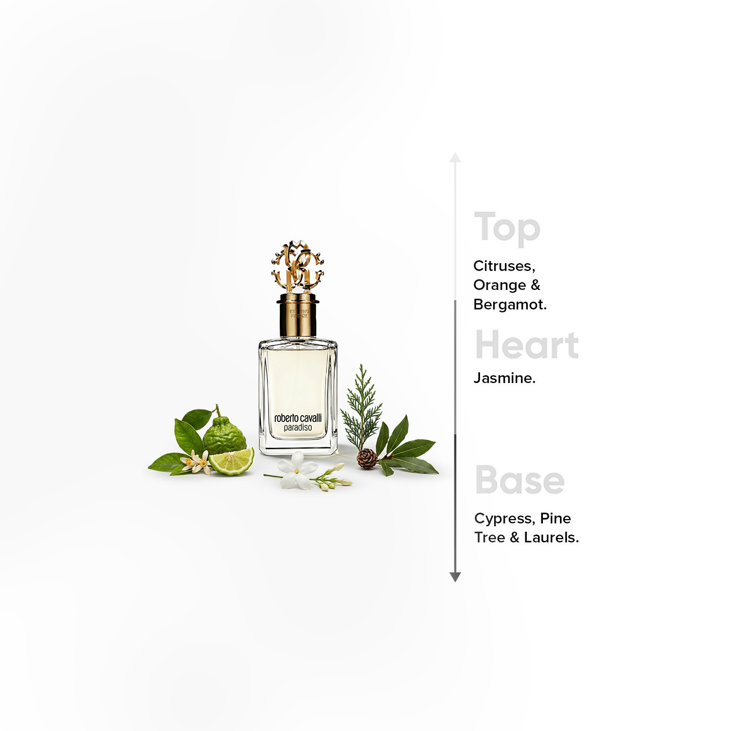 عطر أو دي بارفان باراديسو للنساء من روبرتو كافالي - 100 مل-beautyandpersonalcare-fragrance-women-image-4