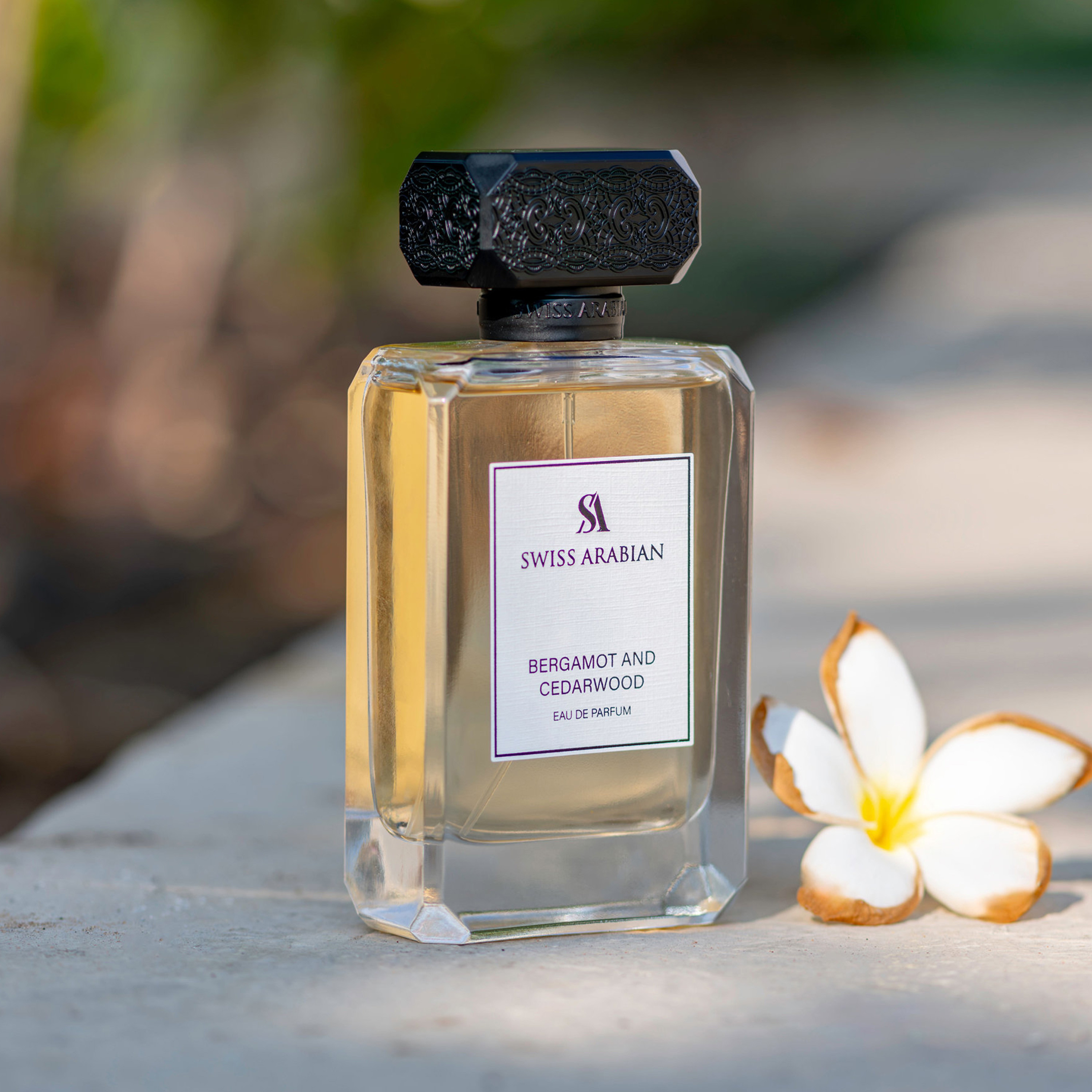 عطر سويس أربيان بالبرغموت وخشب الأرز للرجال، 100 مل | BCED141201-beautyandpersonalcare-fragrance-men-image-3