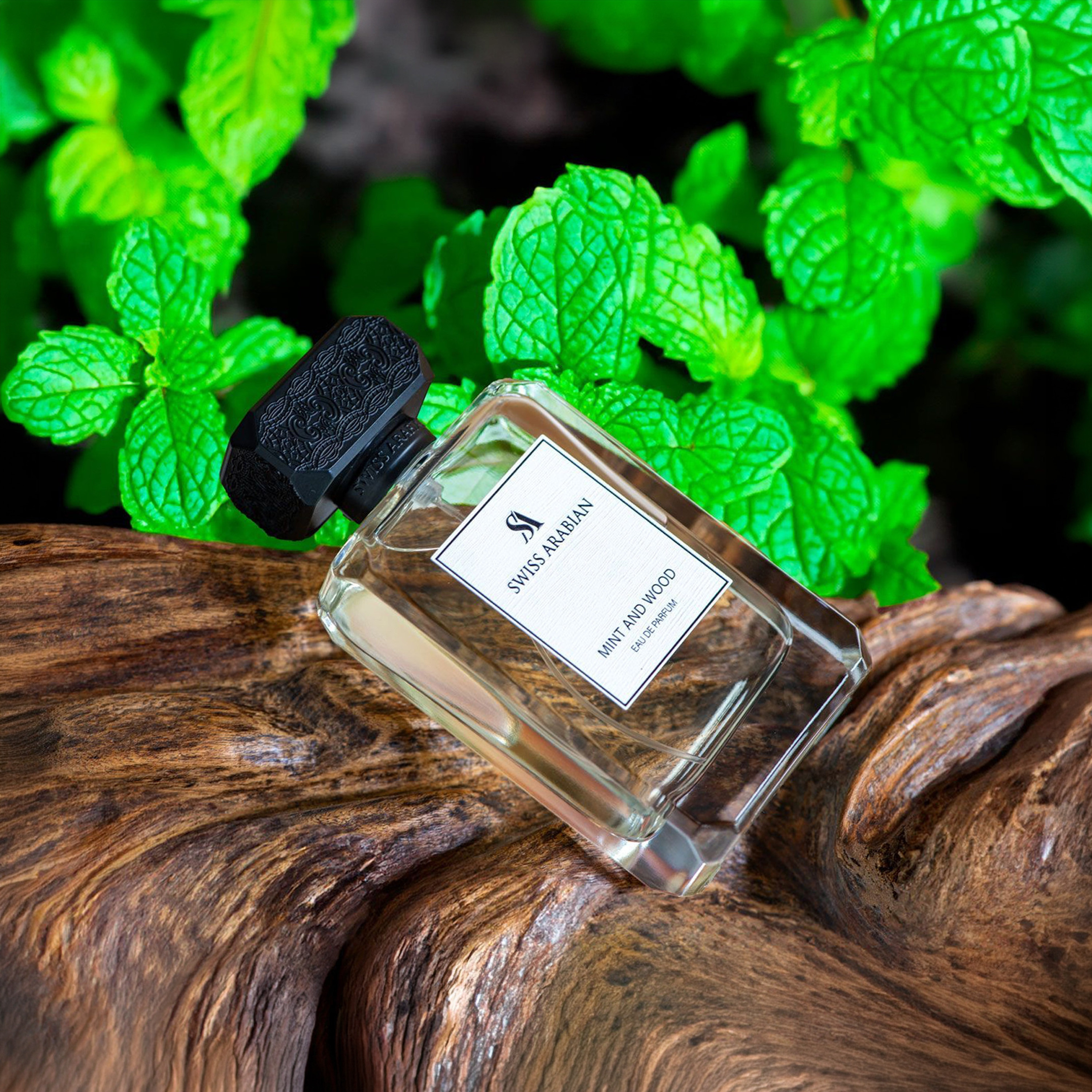 SWISS ARABIAN MINT AND WOOD (M) 100ML EDP-beautyandpersonalcare-fragrance-men-image-3