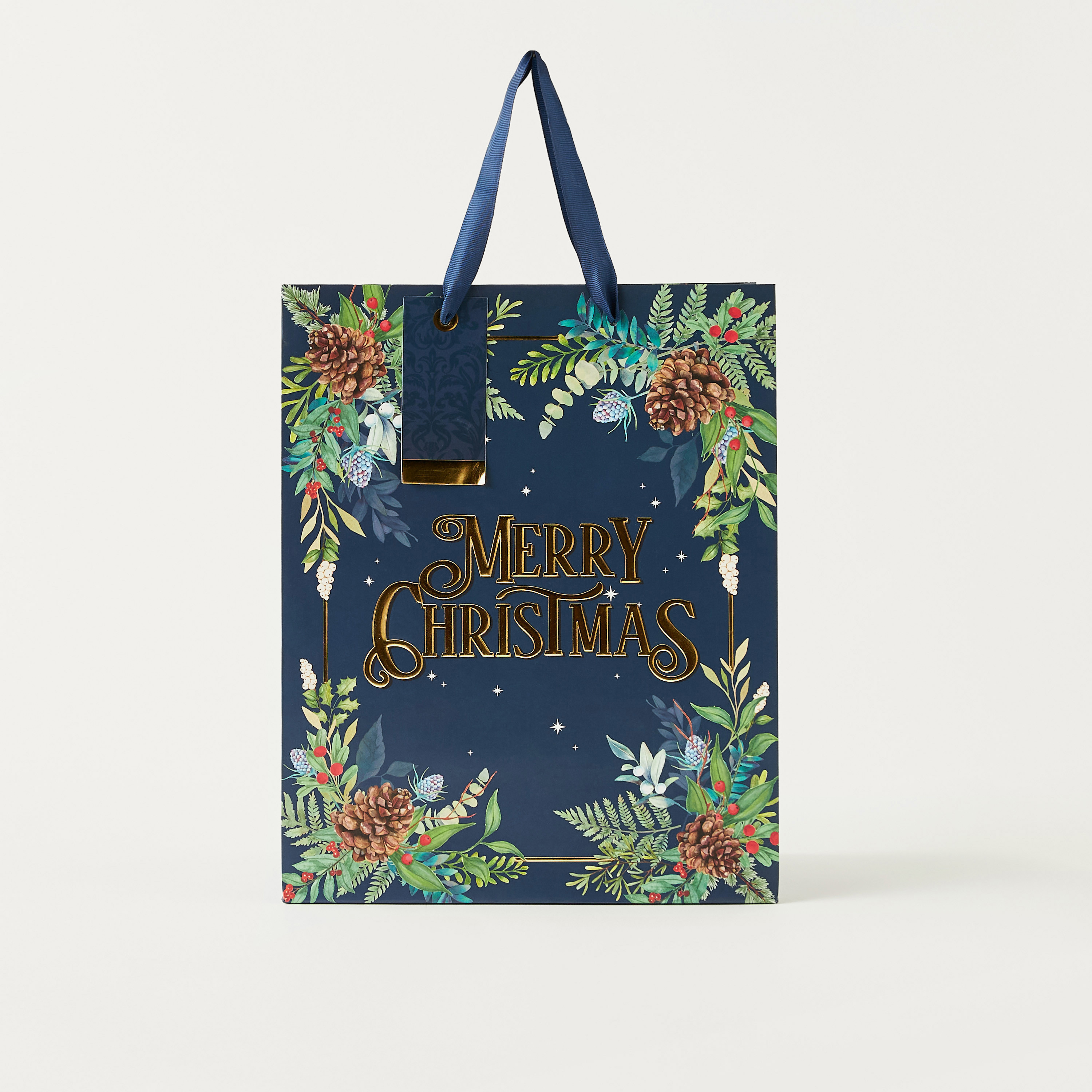 شنطة هدايا ورقية بطبعات من يورو راب - متوسط الحجم-household-giftingaccessories-giftings-image-2