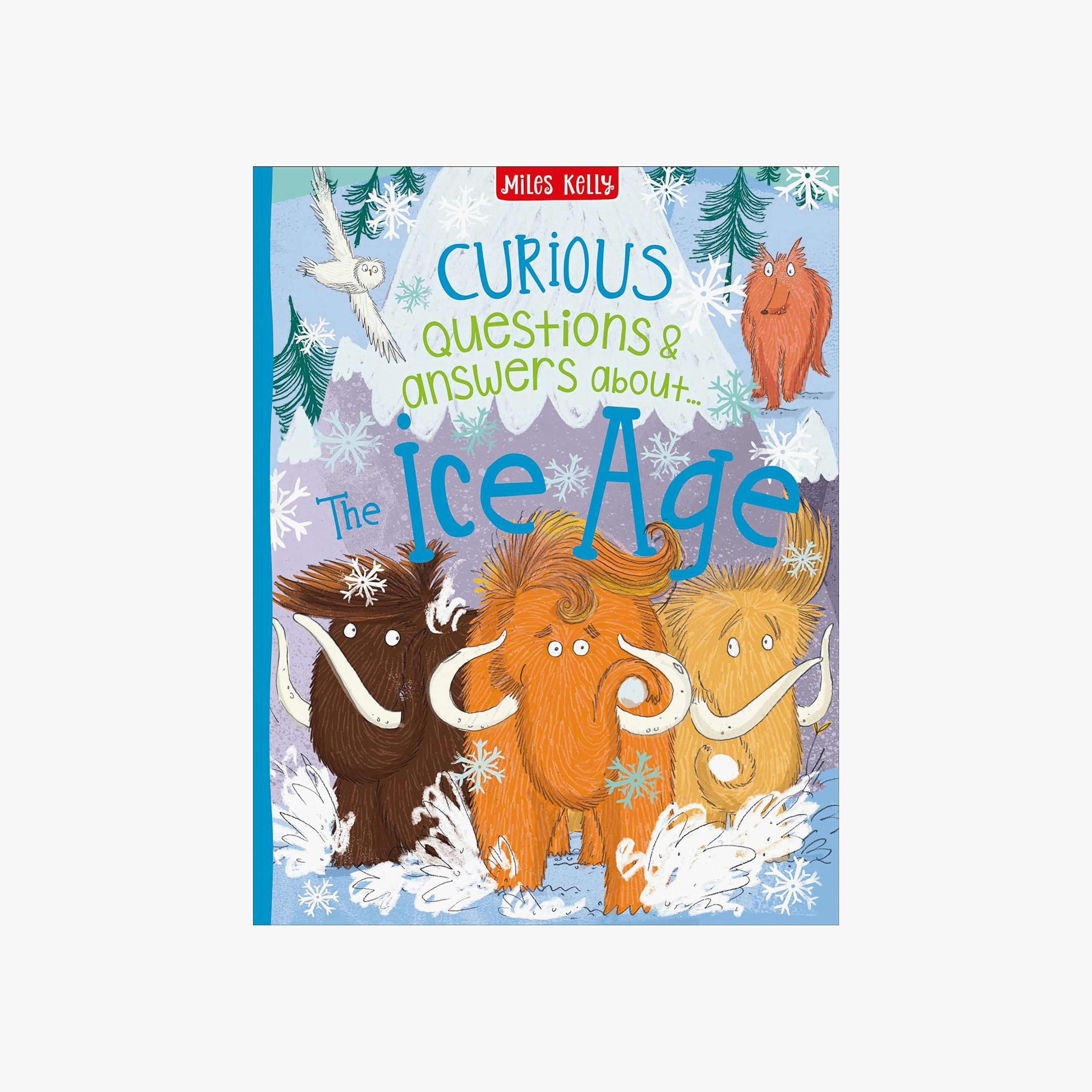 كيوريوس كويستيونس آند أنسويرس آيس آيج - كاميلا دي لا بيدوير-books-english-childrenbooks-image-1
