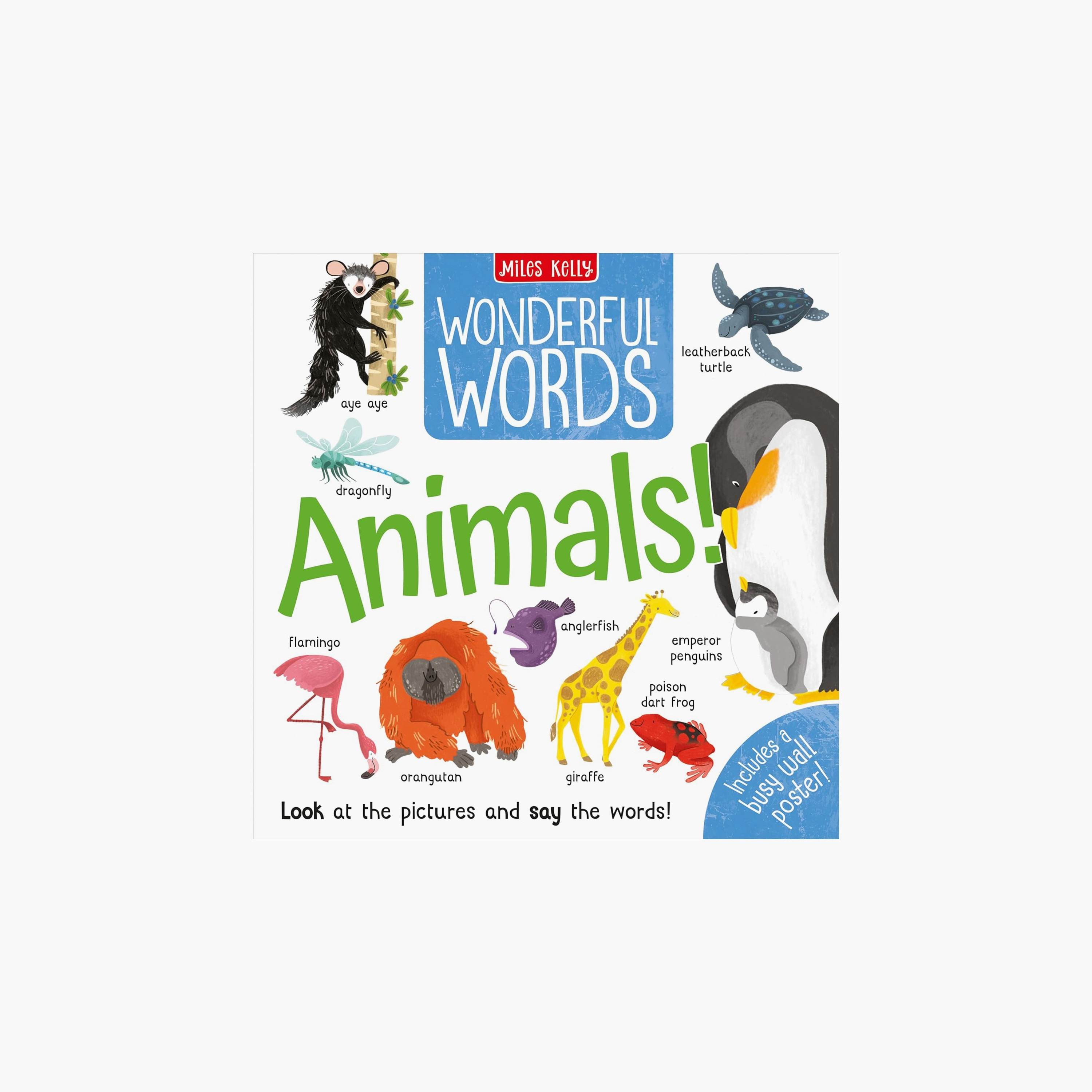 كلمات رائعة يا حيوانات - روزي نيف-books-english-childrenbooks-image-1