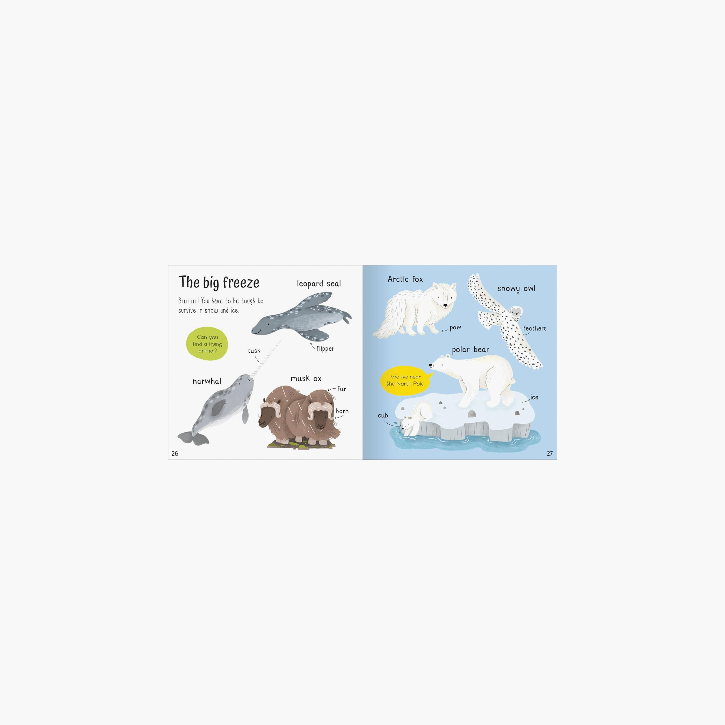 كلمات رائعة يا حيوانات - روزي نيف-books-english-childrenbooks-image-2