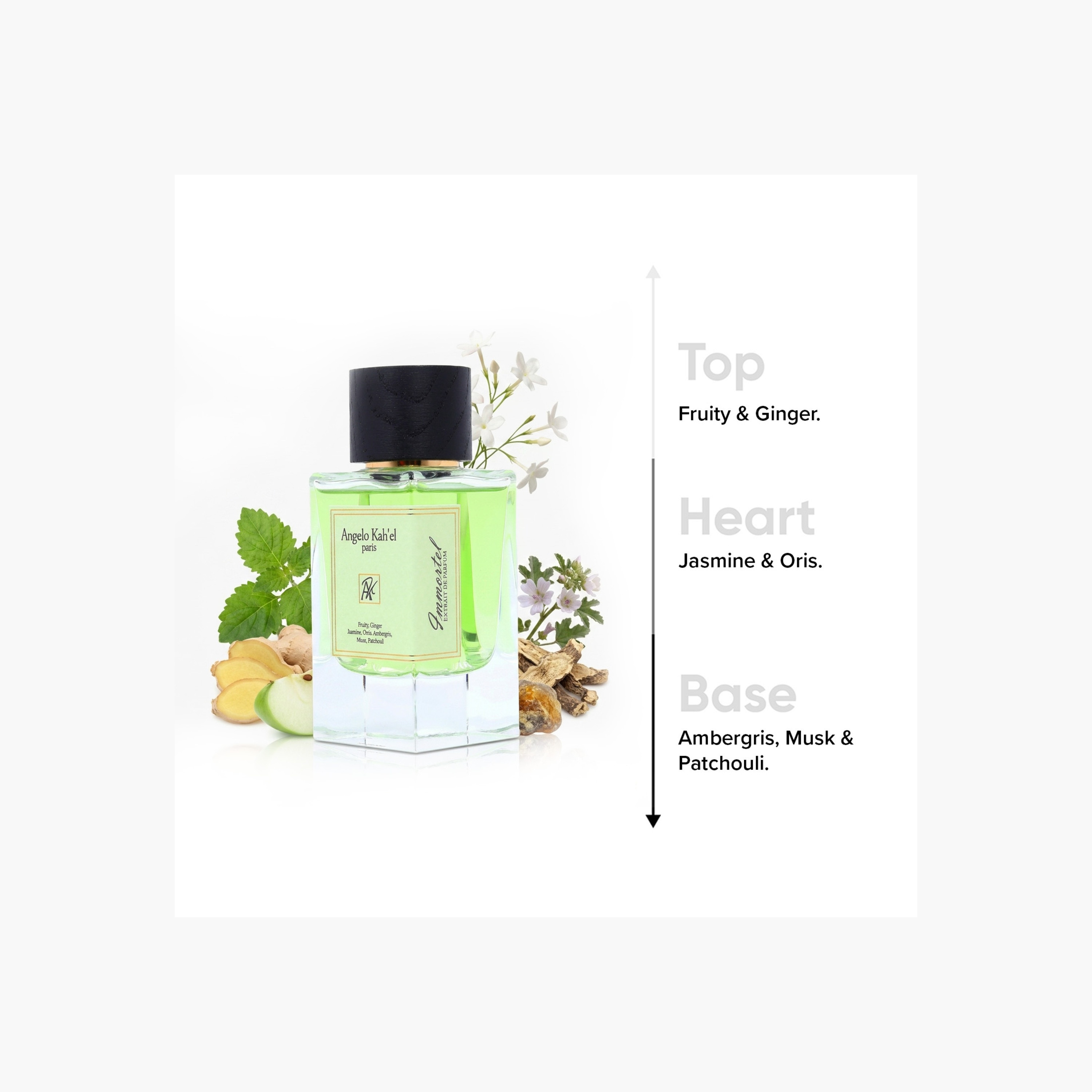 عطر أو دو بارفان باريس إيمورتيل للرجال من أنجيلو كاهيل- 100 مل-beautyandpersonalcare-fragrance-men-image-5