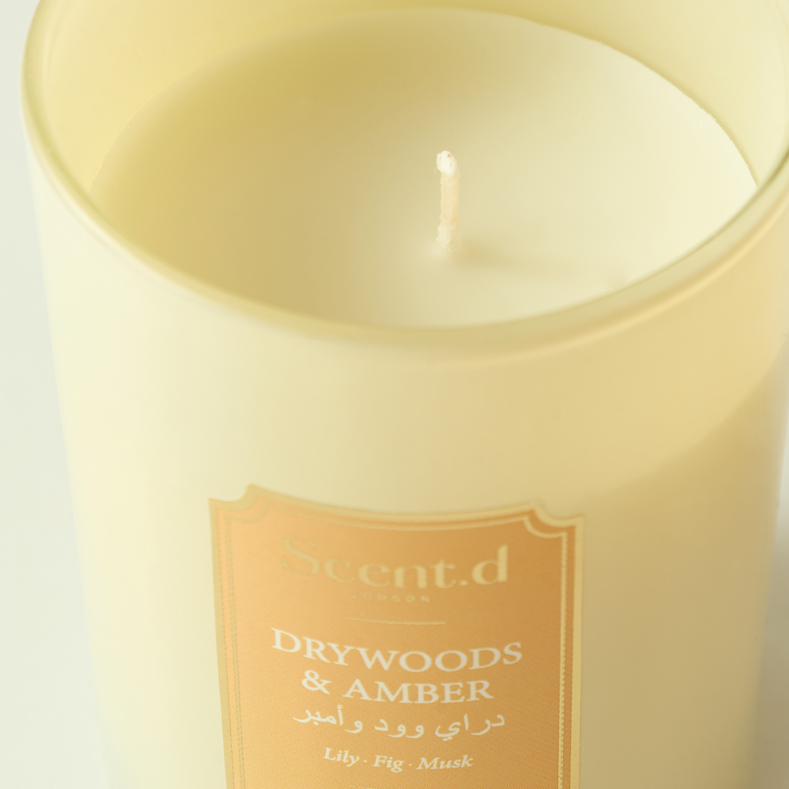 Scent.d Arabian Jasmine Scented Jar Candle - 226 gms-household-homefragrance-candles-image-3