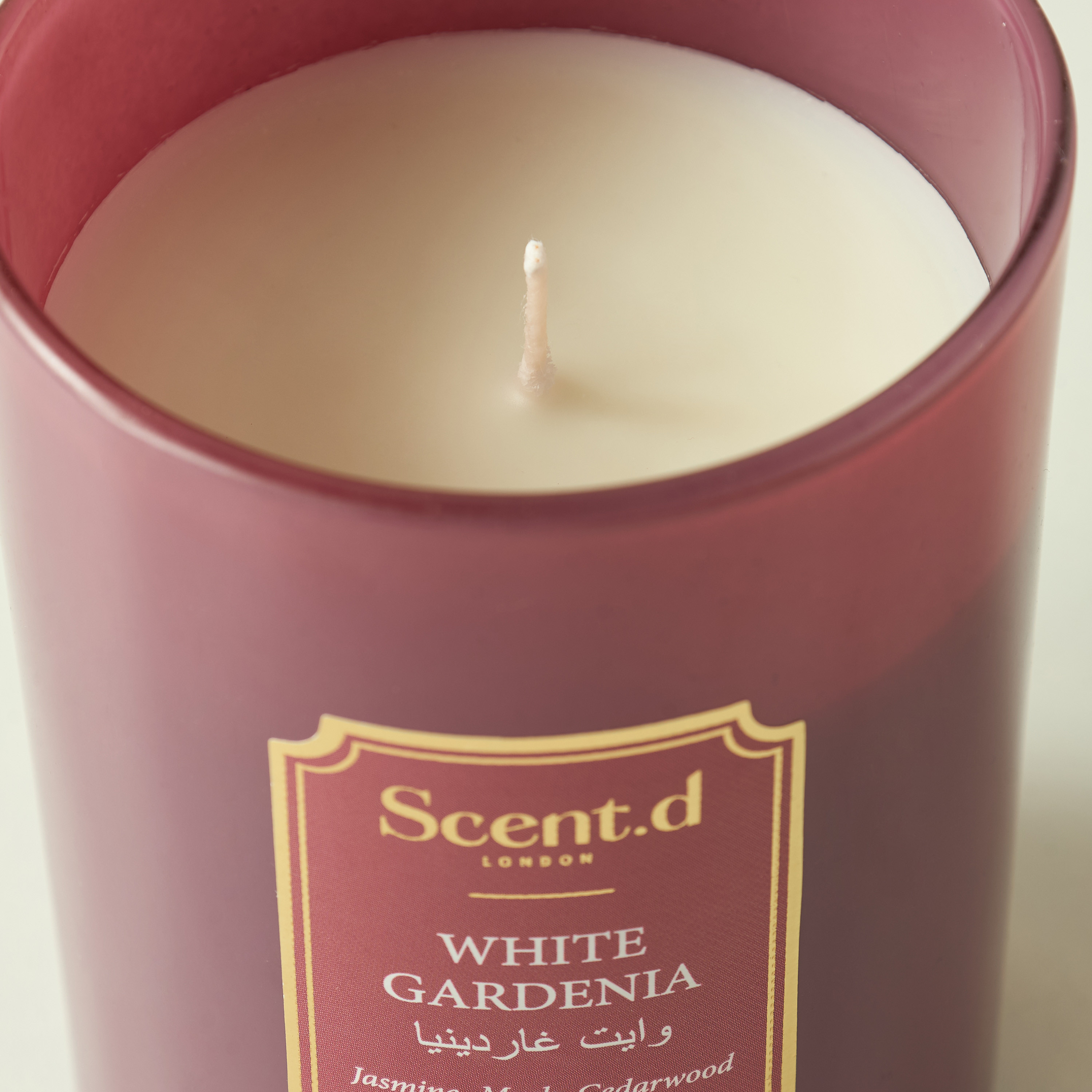 Scent.d Arabian Jasmine Scented Jar Candle - 226 gms-household-homefragrance-candles-image-3