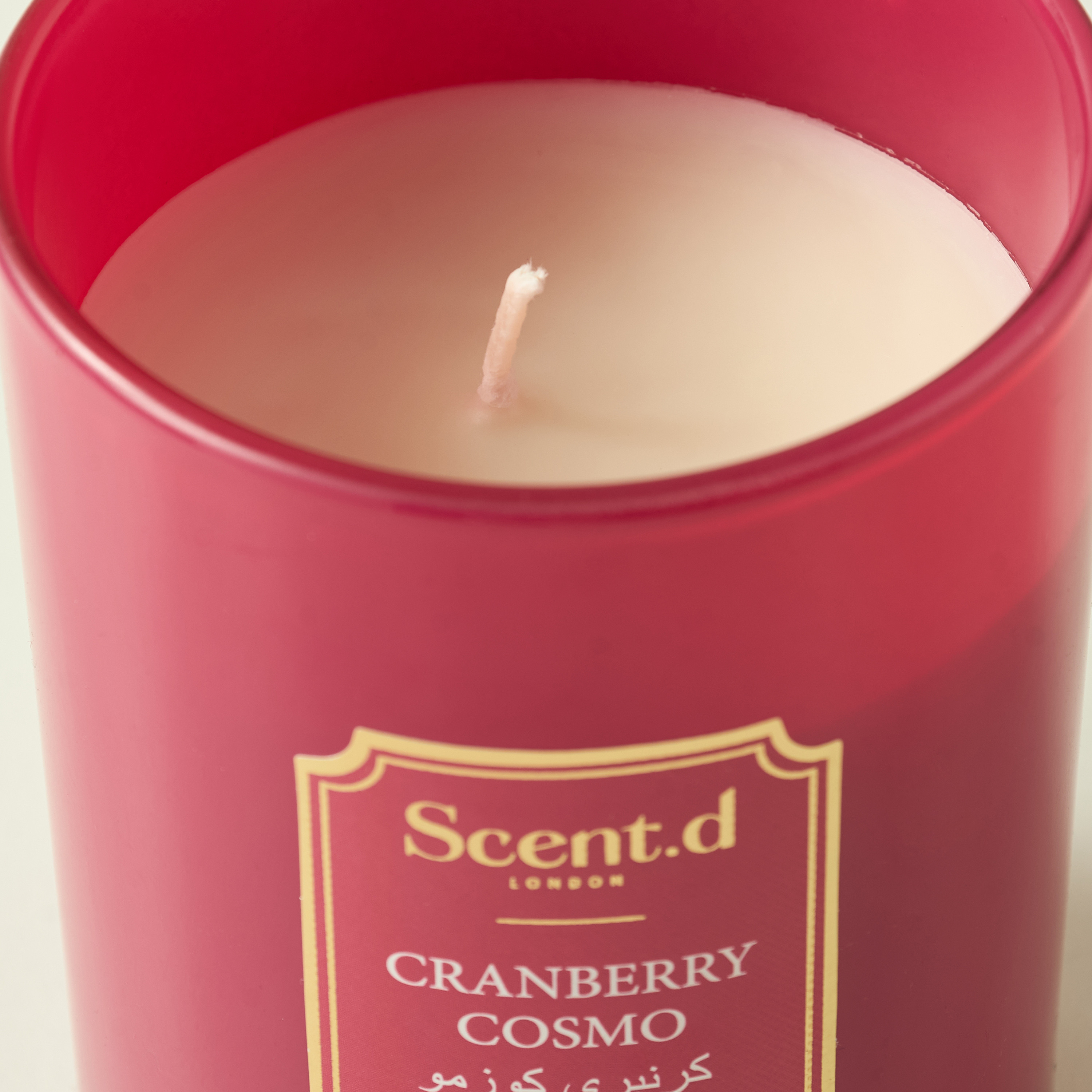 Scent.d Arabian Jasmine Scented Jar Candle - 226 gms-household-homefragrance-candles-image-3