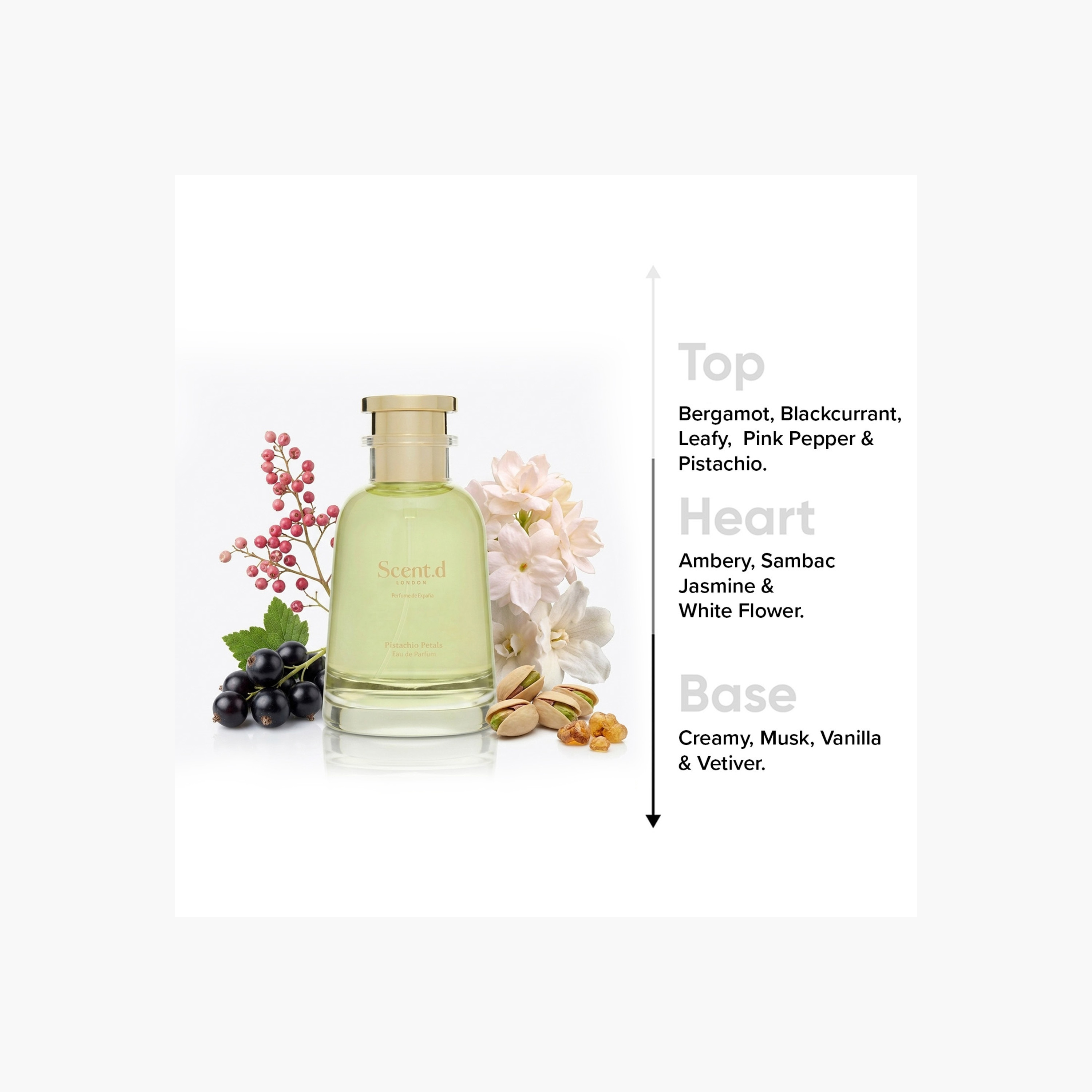 Scent.d Pistachio Petals Eau de Parfum - 100 ml-beautyandpersonalcare-fragrance-unisex-image-5