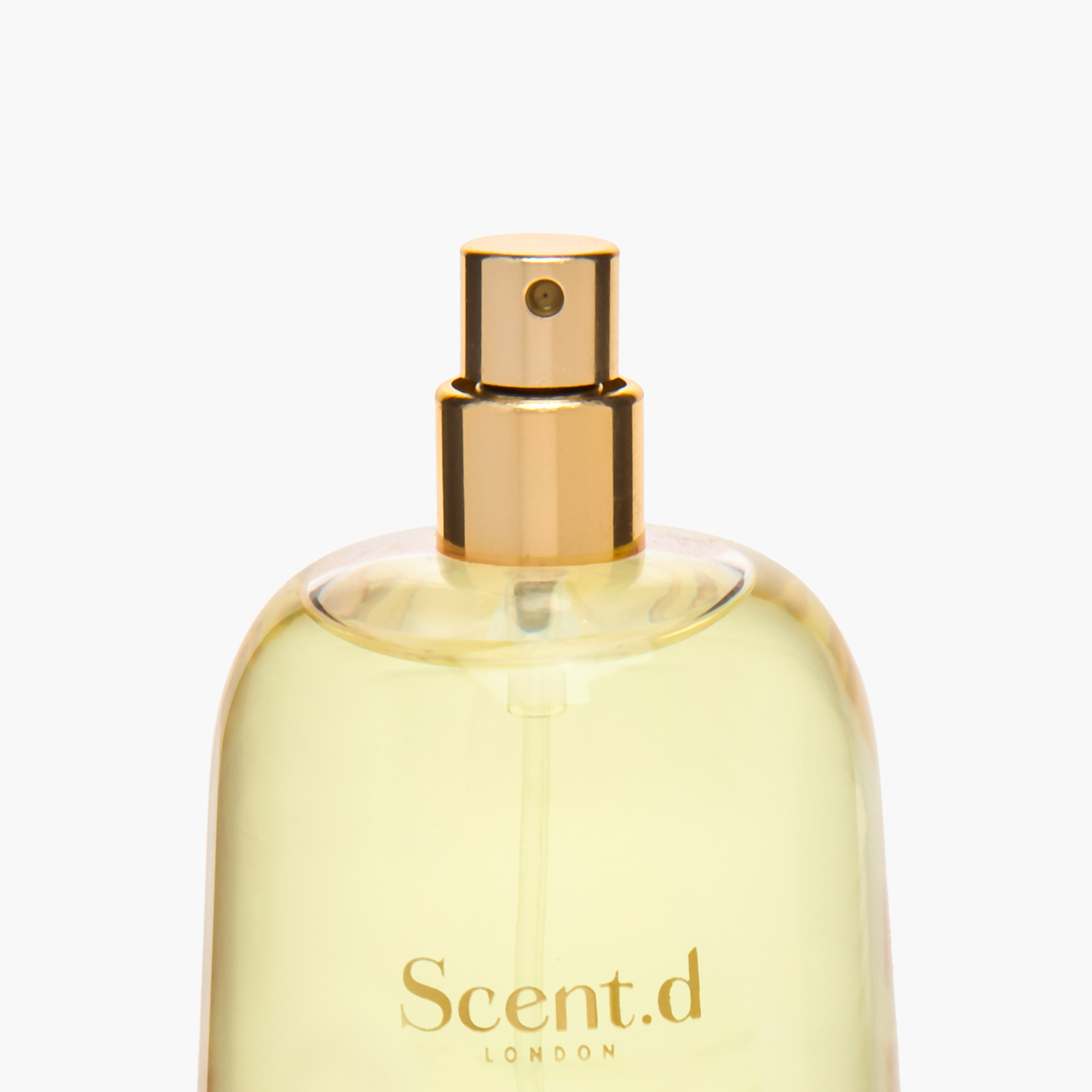 Scent.d Exotic Whisper Eau de Parfum - 100 ml-beautyandpersonalcare-fragrance-unisex-image-6