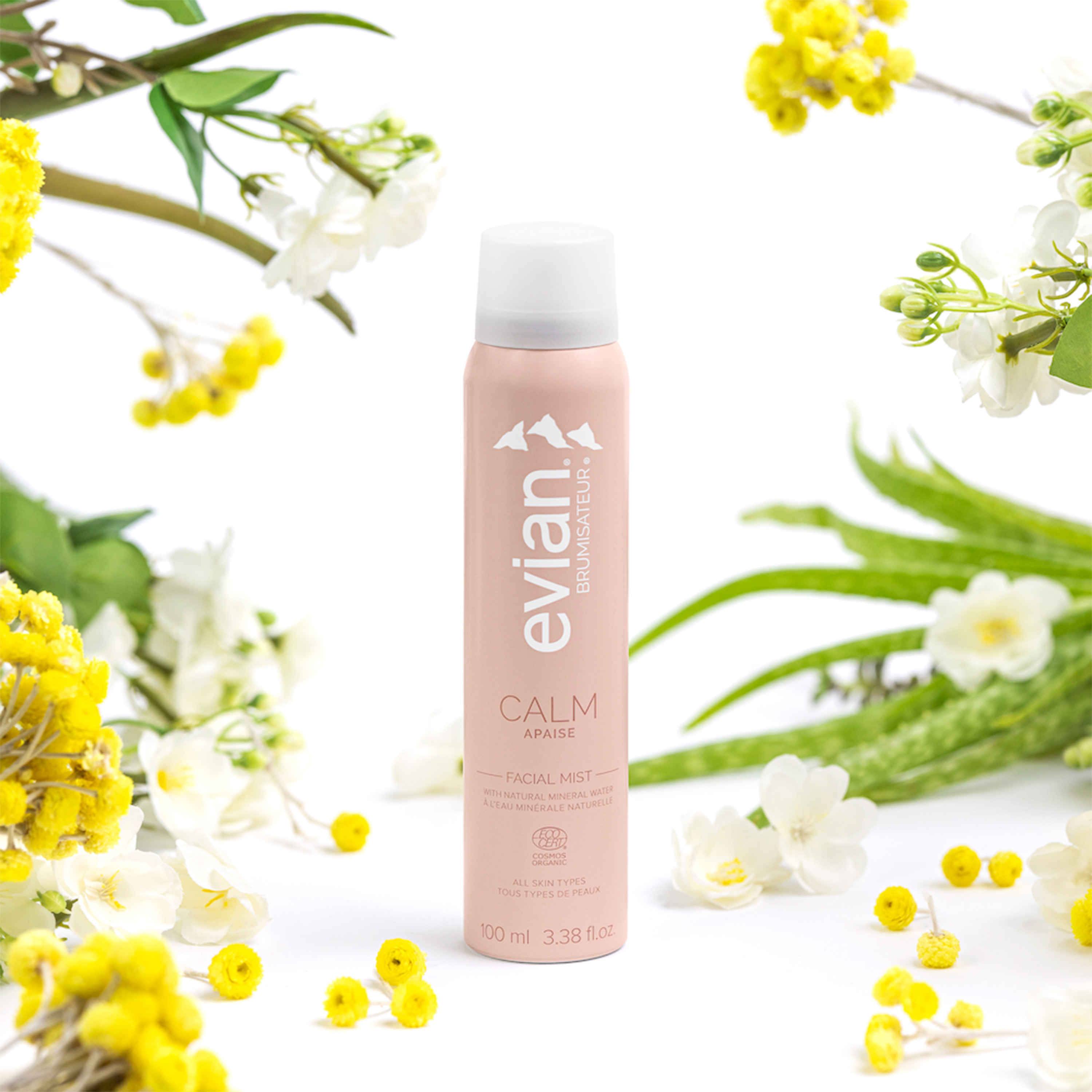 Evian Brumisateur Calm Facial Mist - 100 ml-beautyandpersonalcare-skin-cleansers-tonerandmists-image-2