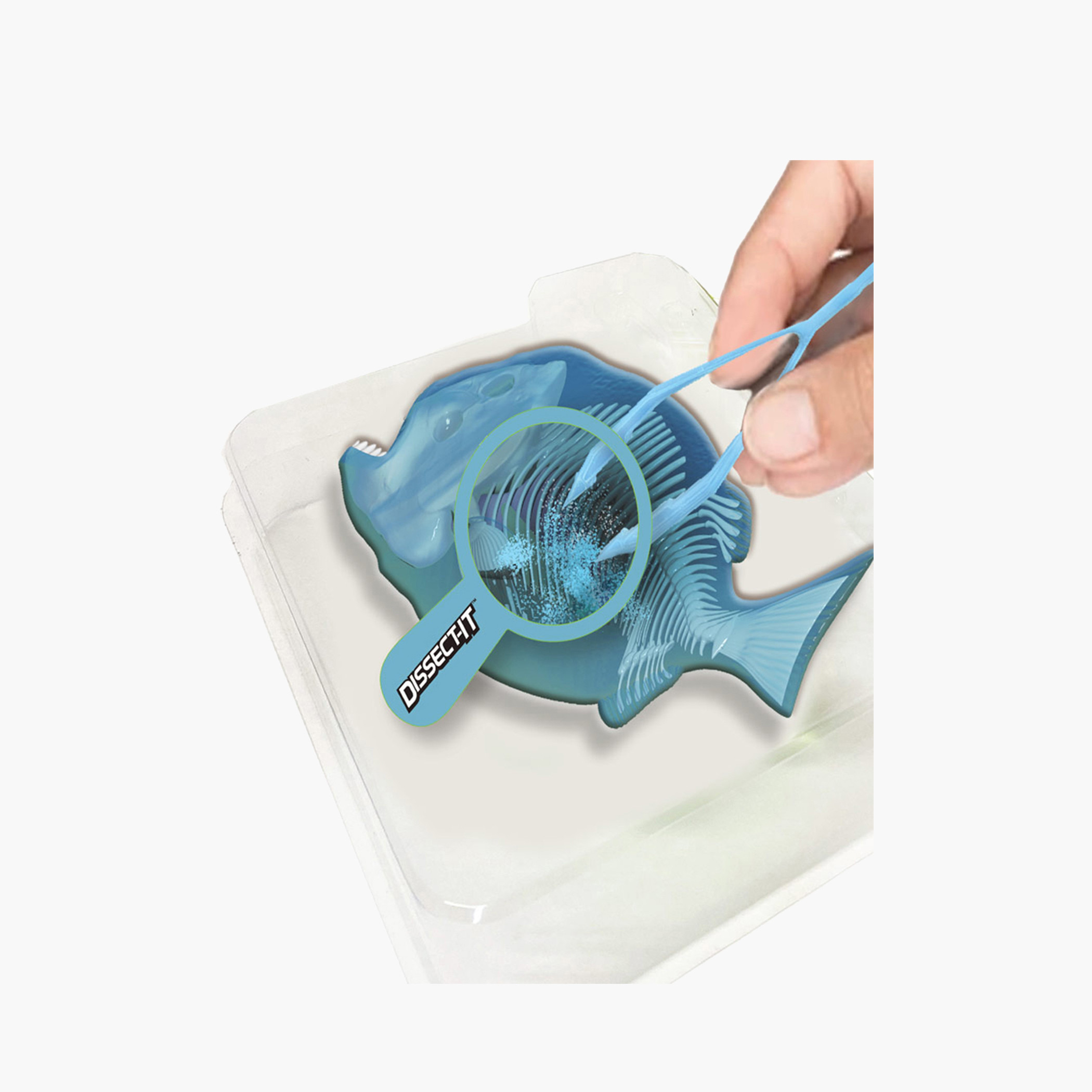 لعبة سمكة بيرانا من سلايمي-toys-educational-stemtoys-image-5