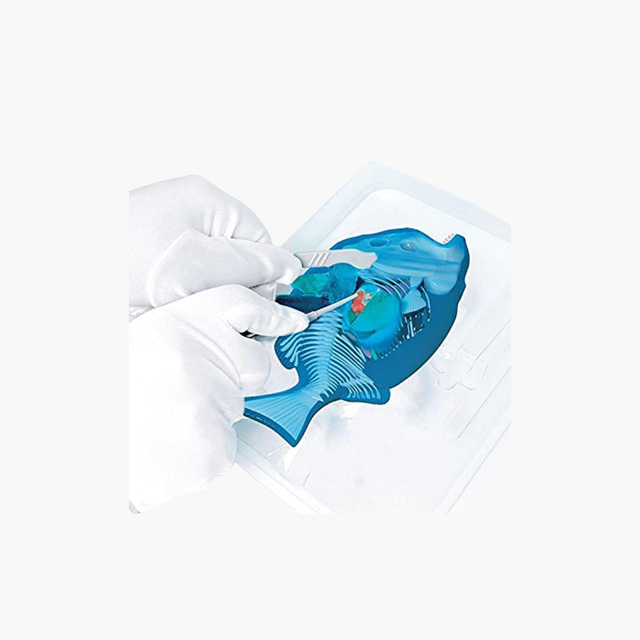 لعبة سمكة بيرانا من سلايمي-toys-educational-stemtoys-image-2