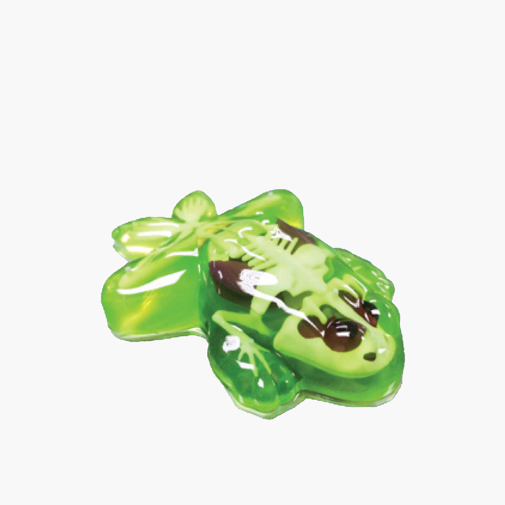 Slimy Dissect-It Frog Toy-toys-educational-stemtoys-image-3