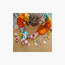 لعبة حذاء التزلج ريترو 3 في 1 من ليجو® كرييتور 31148-toys-buildingblocks-blocks-image-5