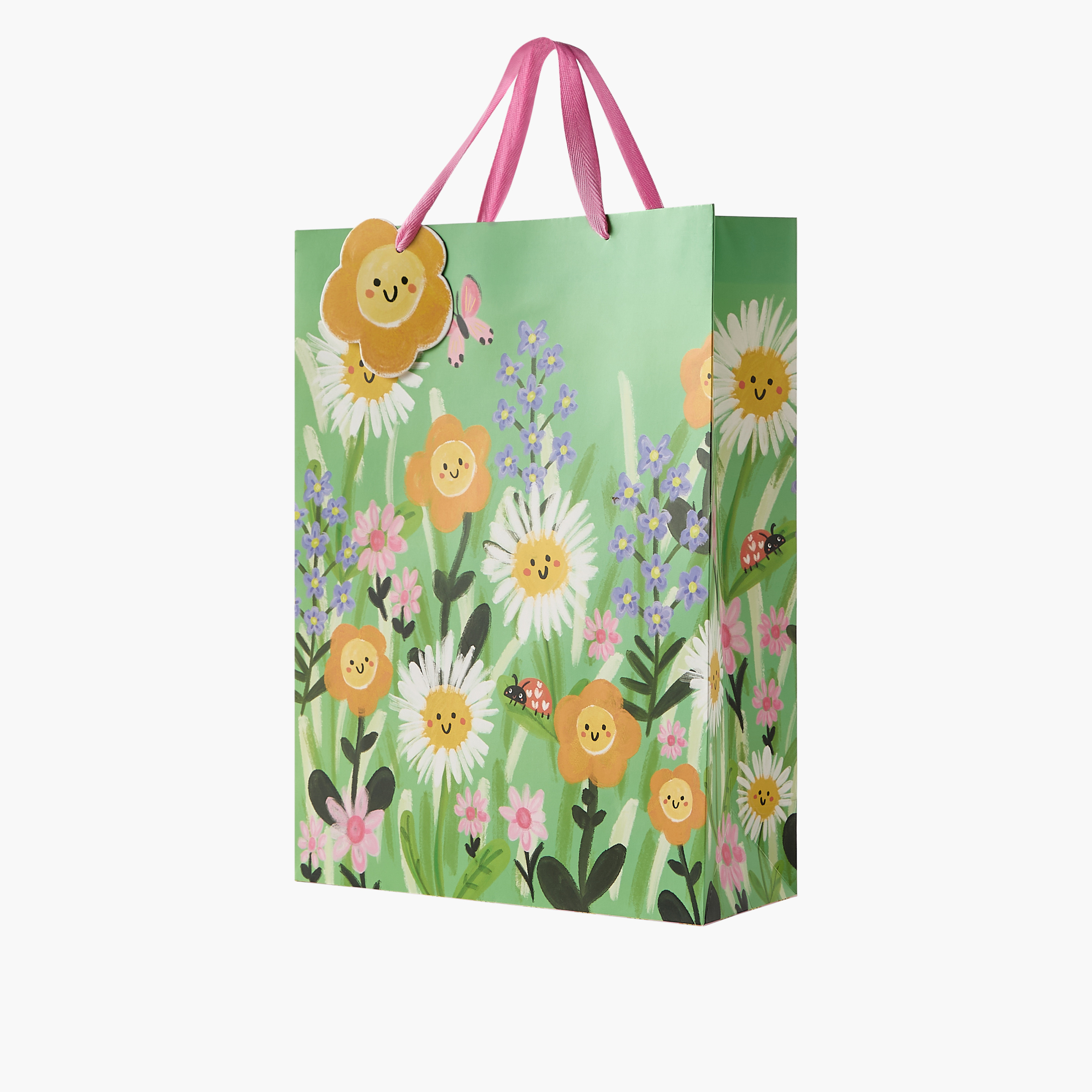 شنطة هدايا بمقابض وطبعات من فايندز - 18x10x23 سم-household-giftingaccessories-giftings-image-2