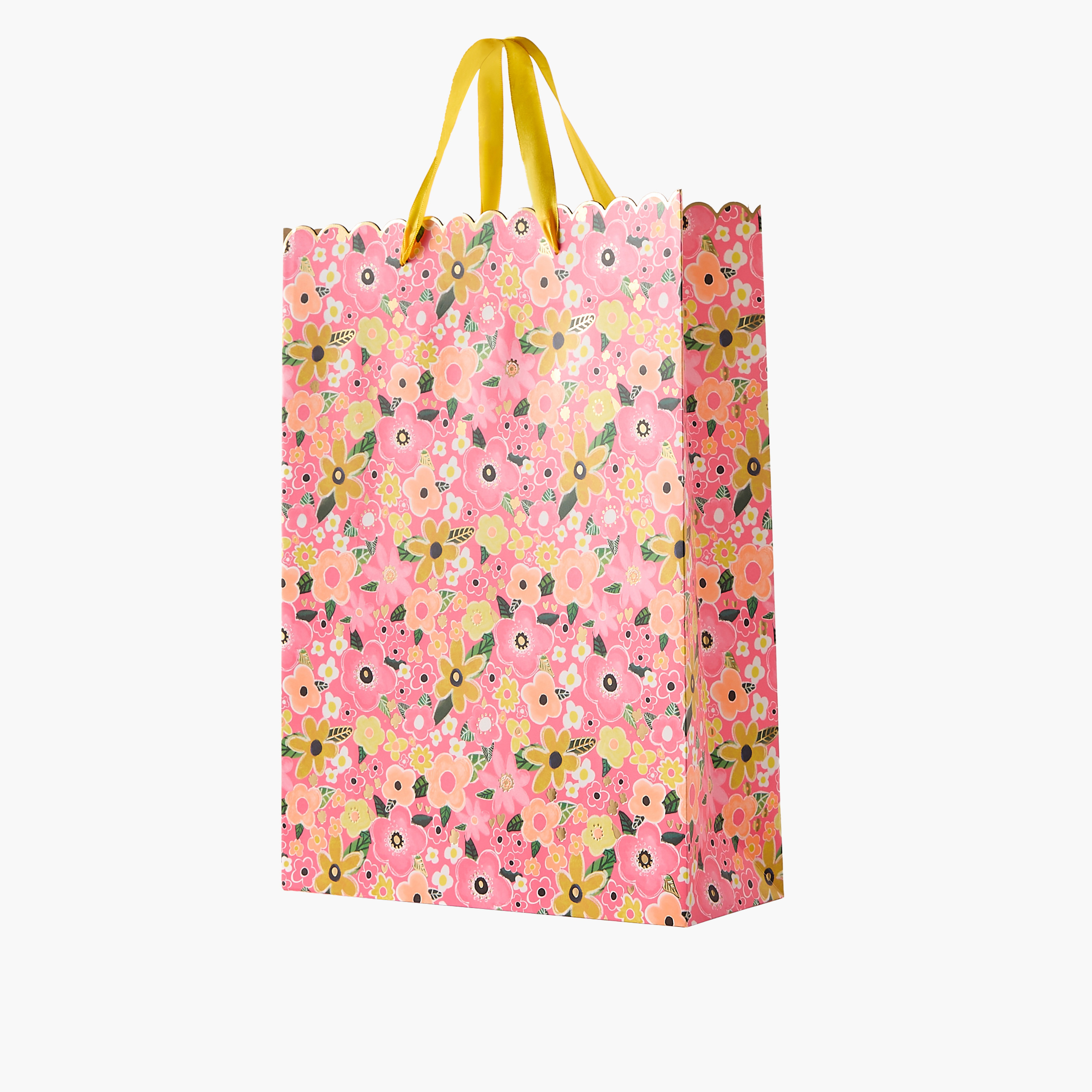 شنطة هدايا ورق بطبعات من فايندز- 18x10x23 سم-household-giftingaccessories-giftings-image-2