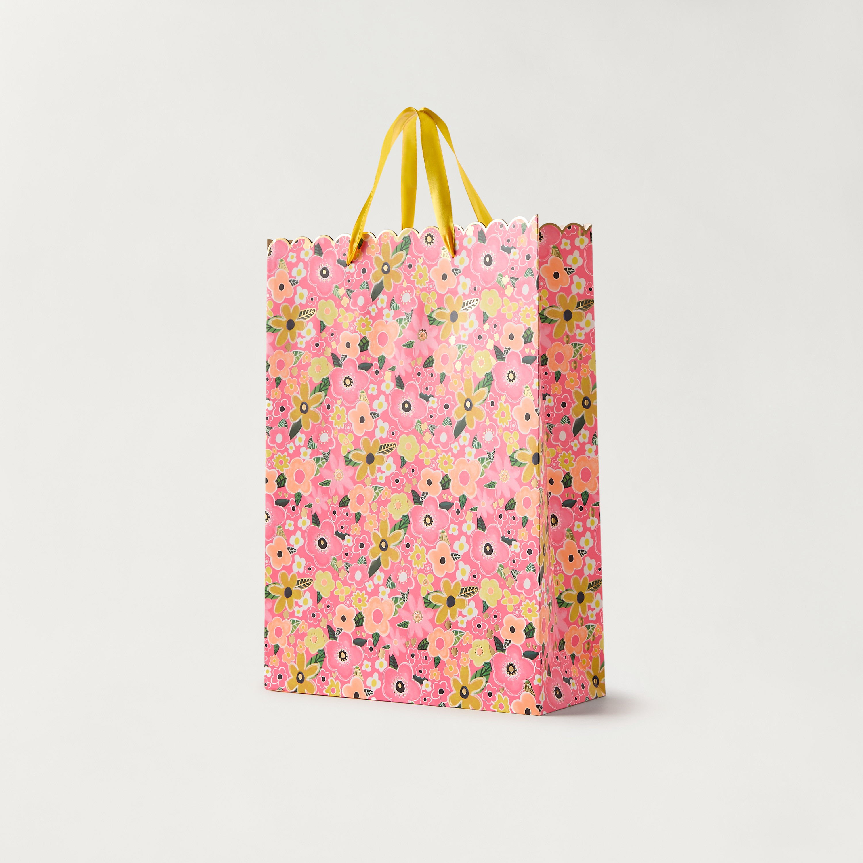 شنطة هدايا ورقية بطبعات من فايندز - 26x12x32 سم-household-giftingaccessories-giftings-image-2