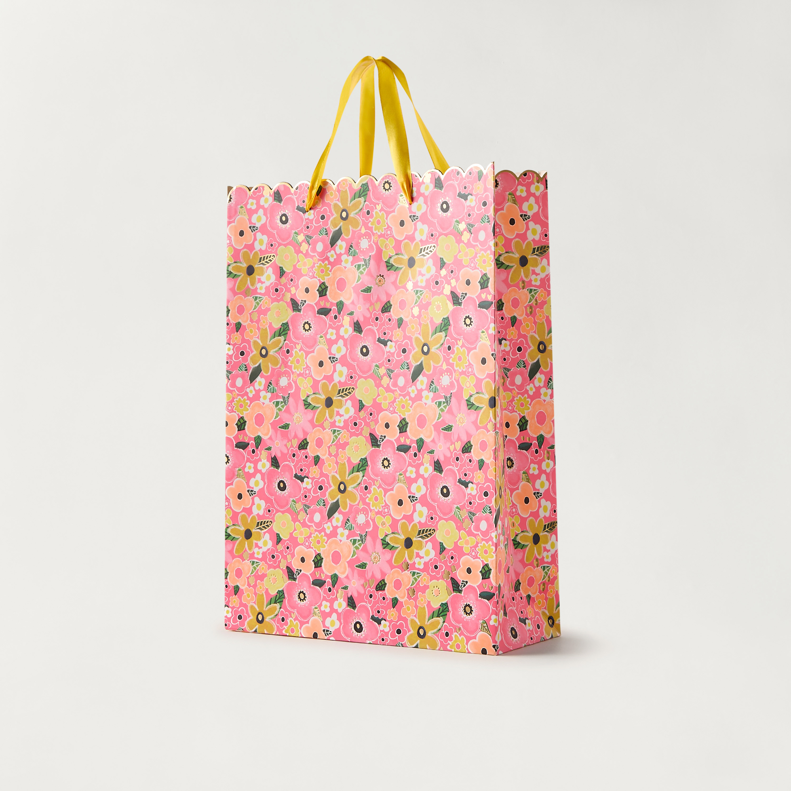 شنطة هدايا ورقية بطبعات من فايندز - 31x12x42 سم-household-giftingaccessories-giftings-image-2