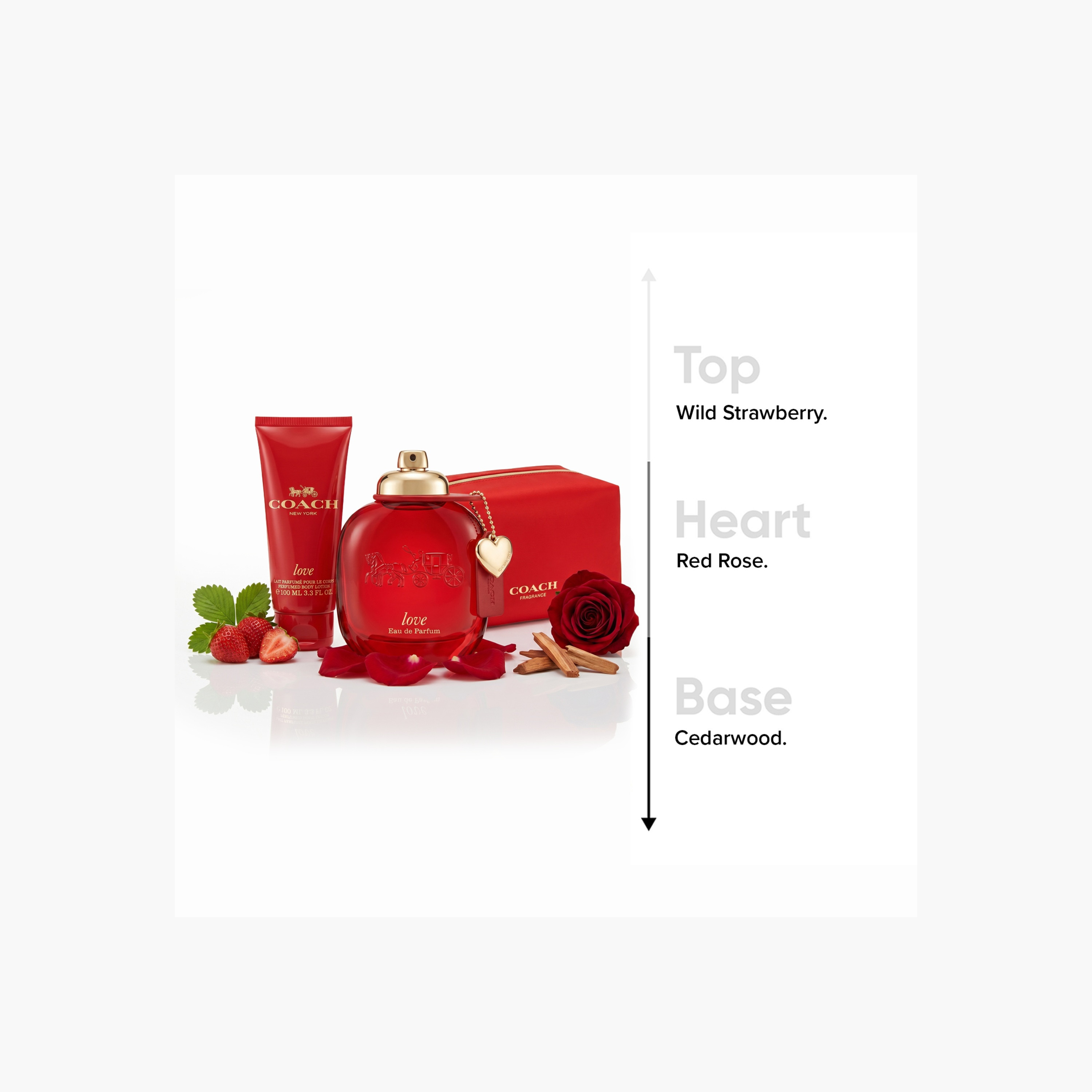 Coach New York Love 3-Piece Fragrance Set for Women-beautyandpersonalcare-giftsets-image-5