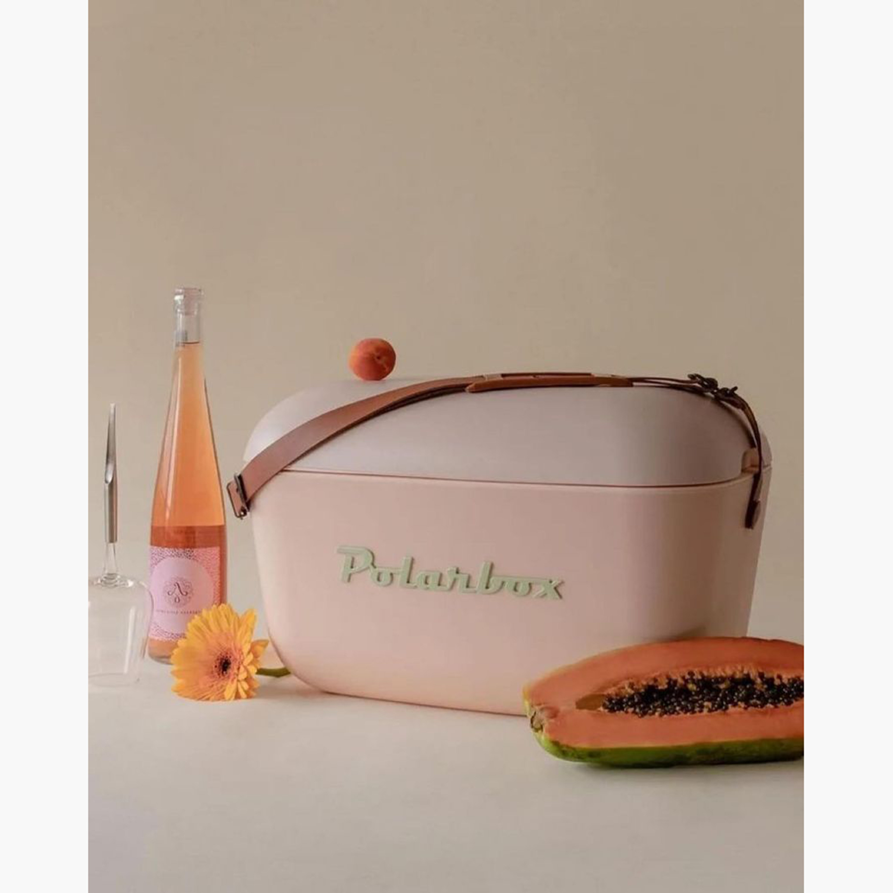 PolarBox Logo Embossed Ice Box - 20 L-household-kitchen-foodstorage-containers-image-9