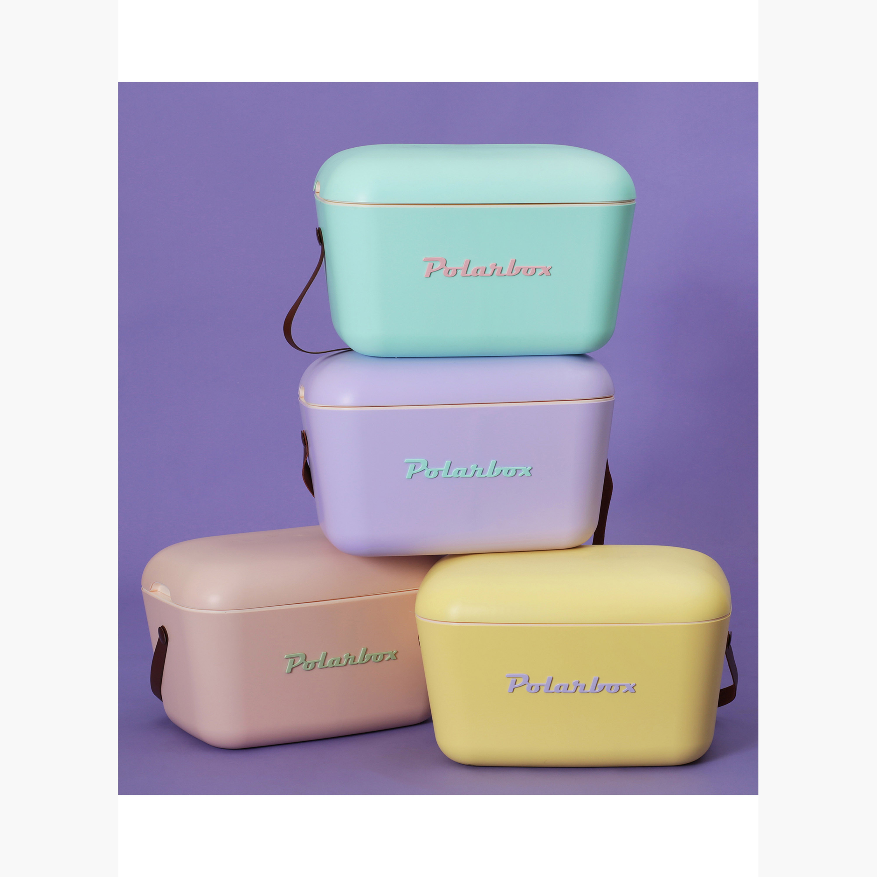 PolarBox Logo Print Ice Box - 20 L-household-kitchen-foodstorage-containers-image-11