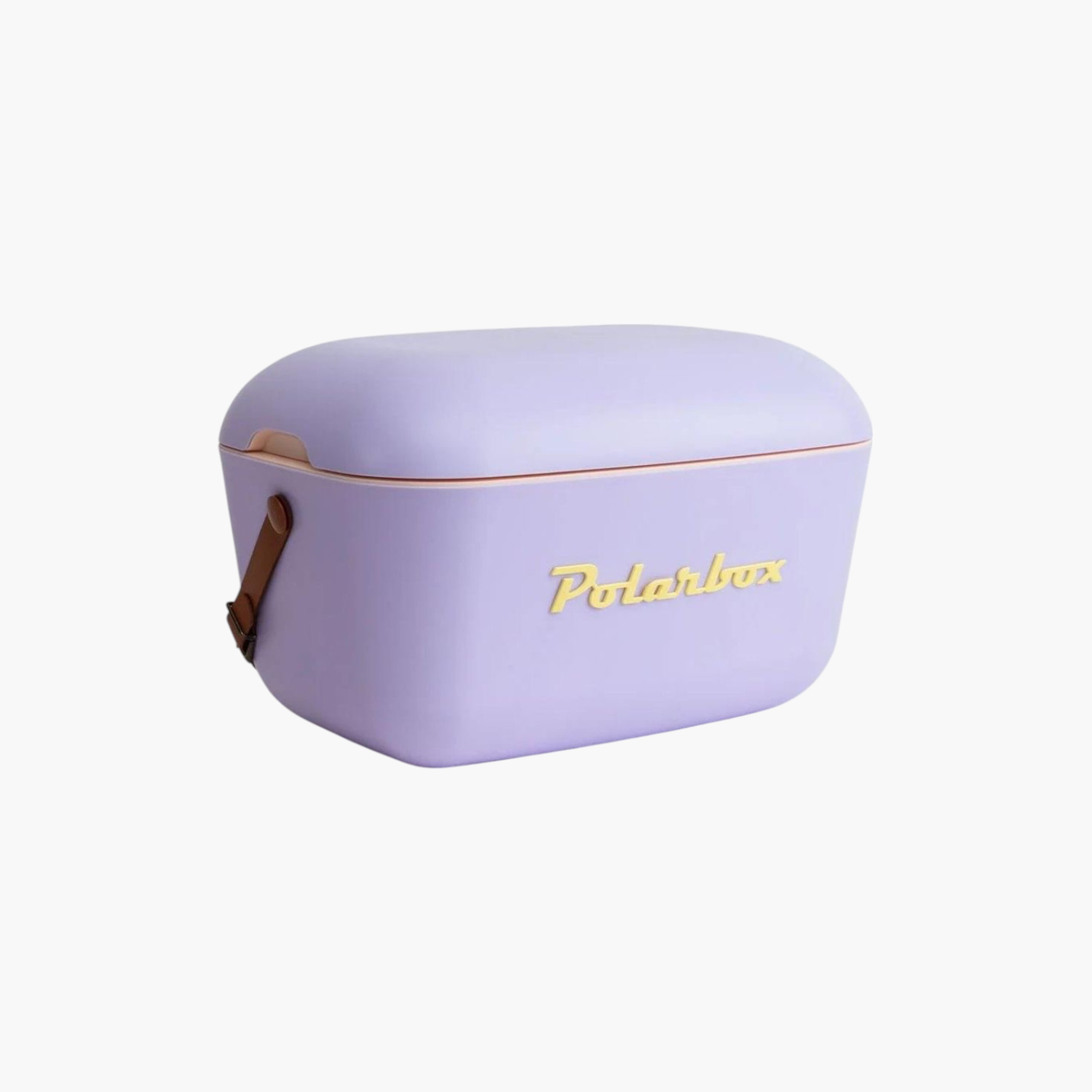 PolarBox Logo Print Ice Box - 20 L-household-kitchen-foodstorage-containers-image-13