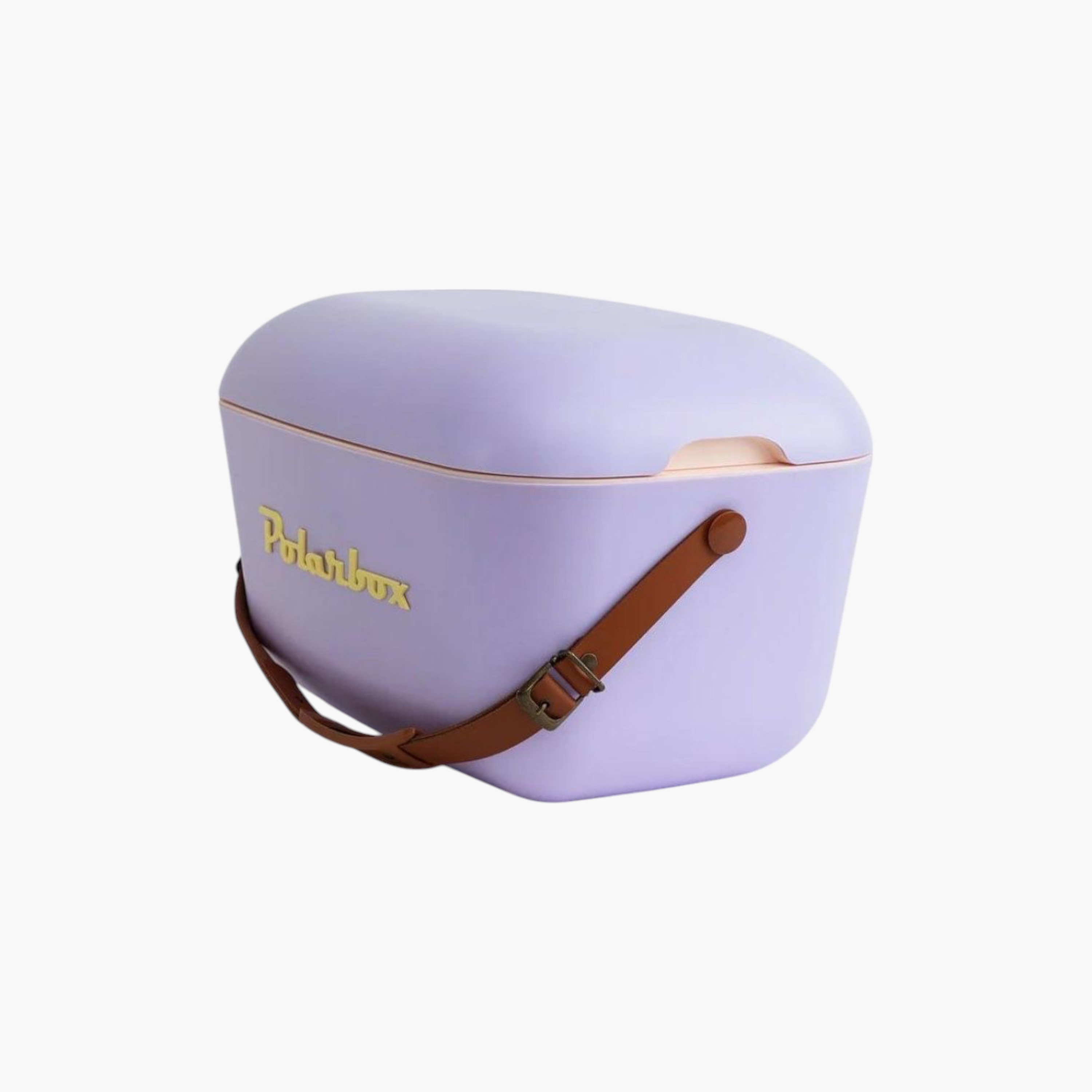 PolarBox Logo Print Ice Box - 20 L-household-kitchen-foodstorage-containers-image-3