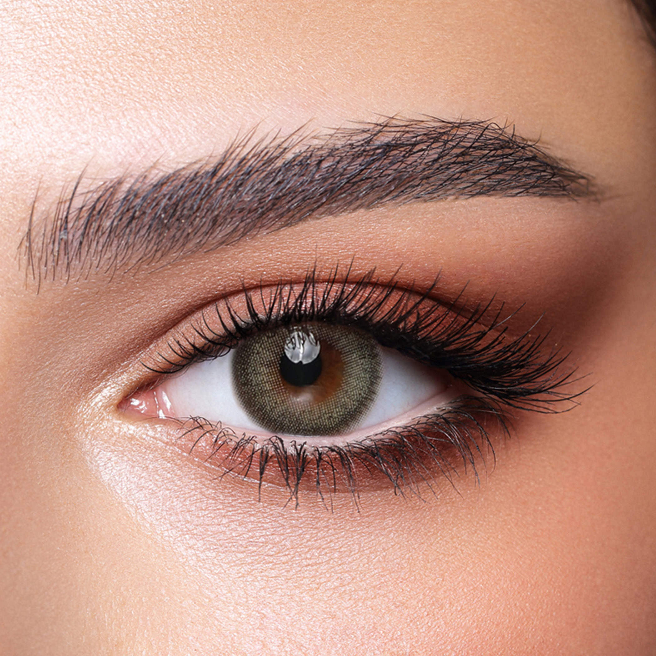 طقم عدسات لاصقة يومية باين لايت جراي 10 أزواج من بيلا-beautyandpersonalcare-makeup-eyes-colorcontactlenses-image-1