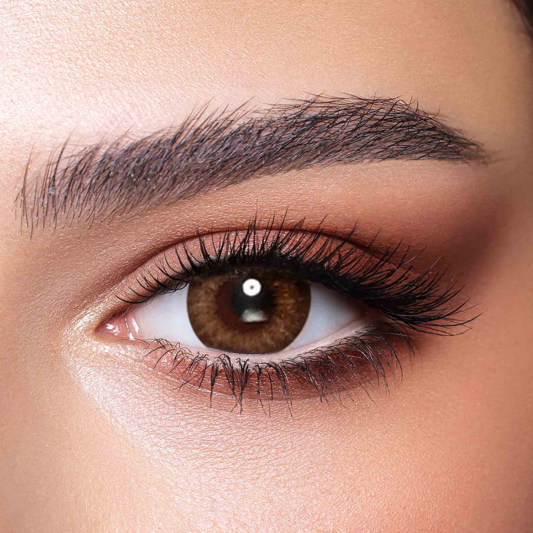 Bella Almond Brown Daily Contact Lenses - Set of 10-beautyandpersonalcare-makeup-eyes-colorcontactlenses-image-2