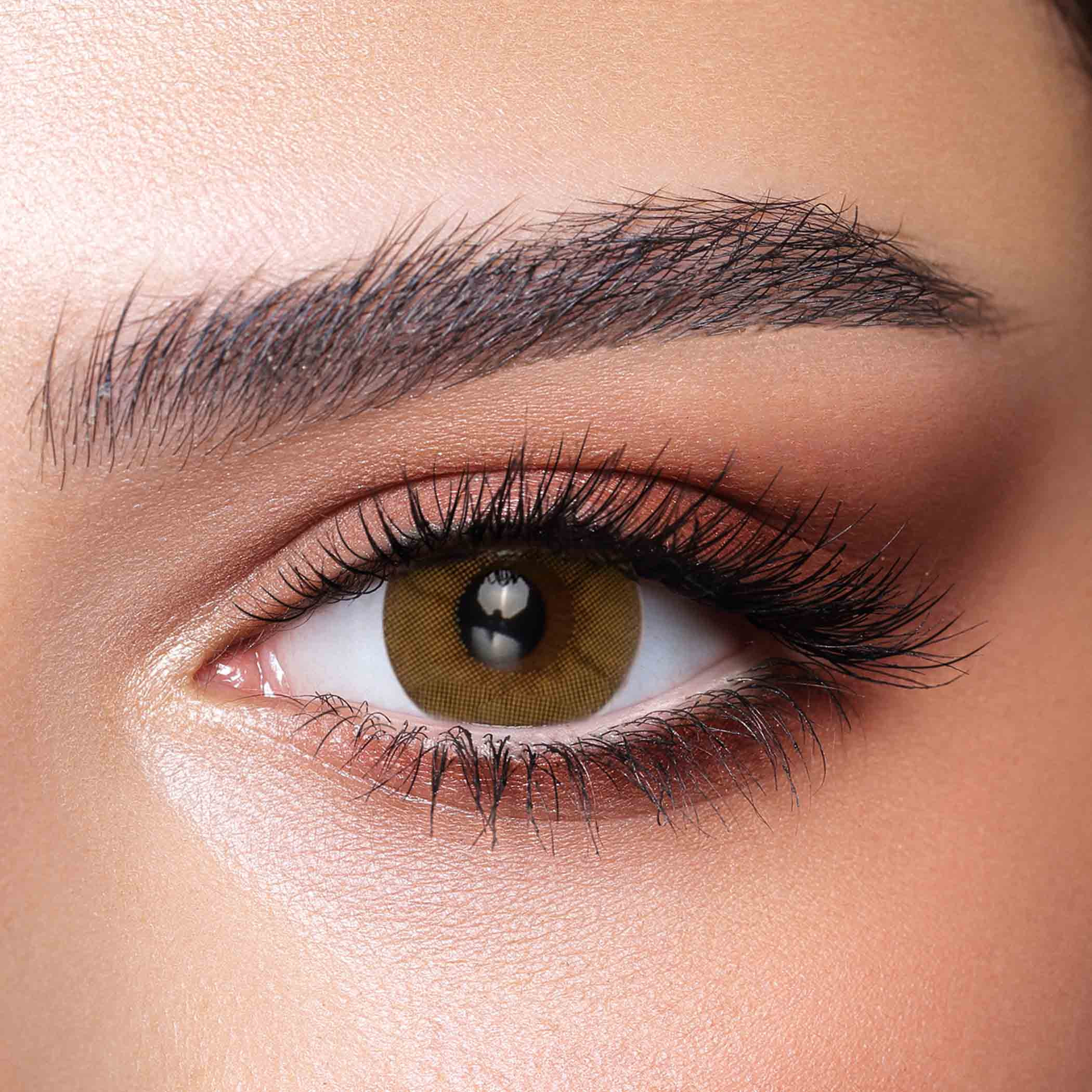 عدسات بيلا سيترين براونيش كريستال اللاصقة اليومية - مجموعة من 10 عدسات-beautyandpersonalcare-makeup-eyes-colorcontactlenses-image-2