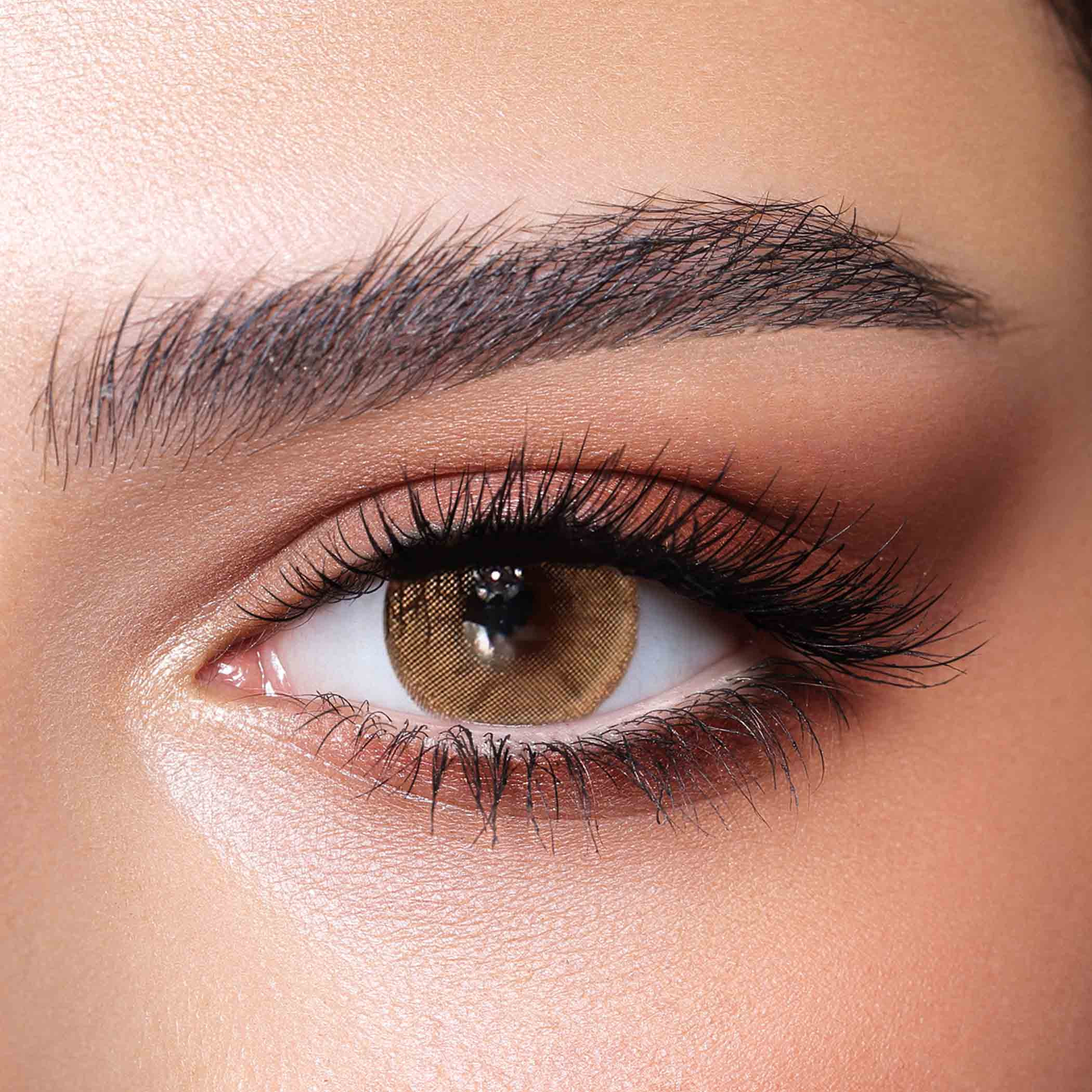Bella Hazel Beige Daily Contact Lenses - Set of 10-beautyandpersonalcare-makeup-eyes-colorcontactlenses-image-2