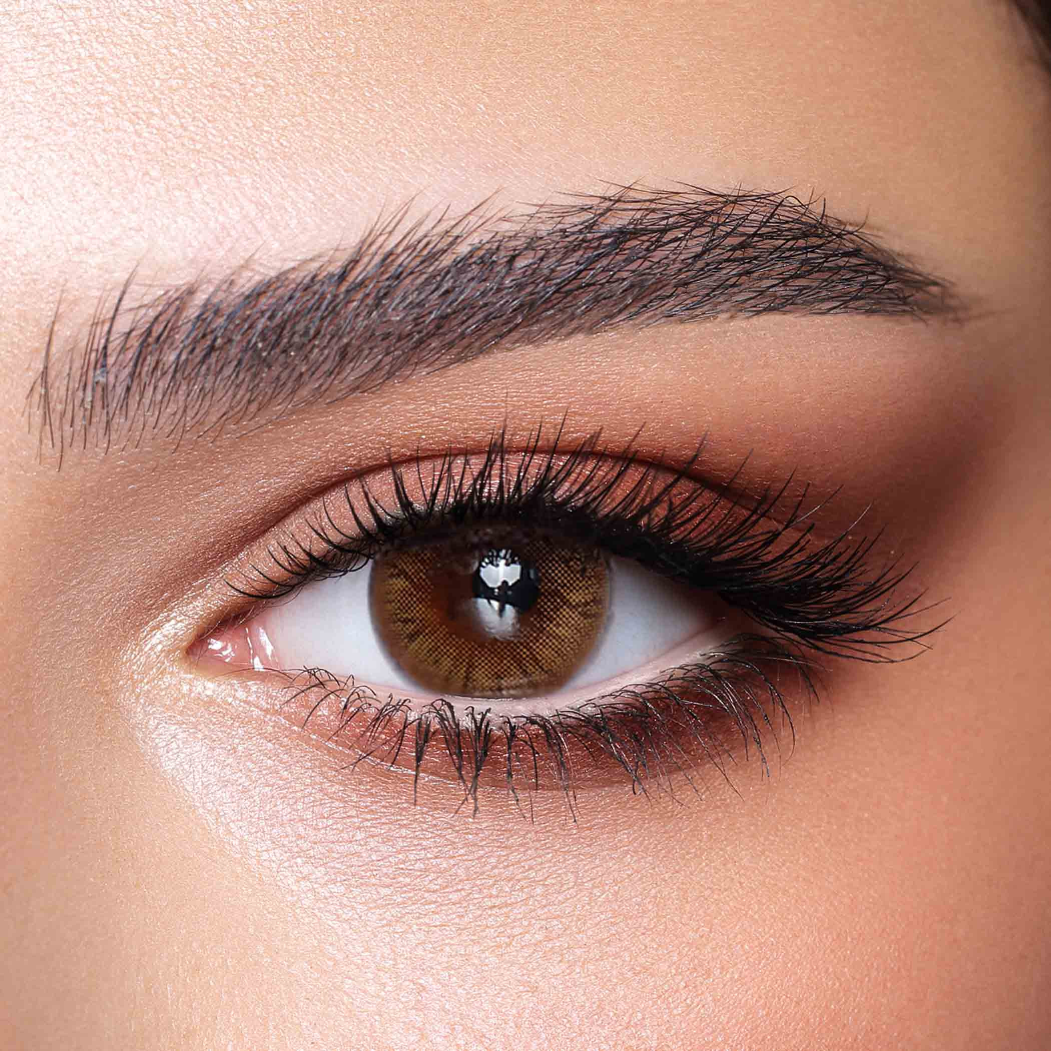Bella Hazel Honey Daily Contact Lenses - Set of 10-beautyandpersonalcare-makeup-eyes-colorcontactlenses-image-1