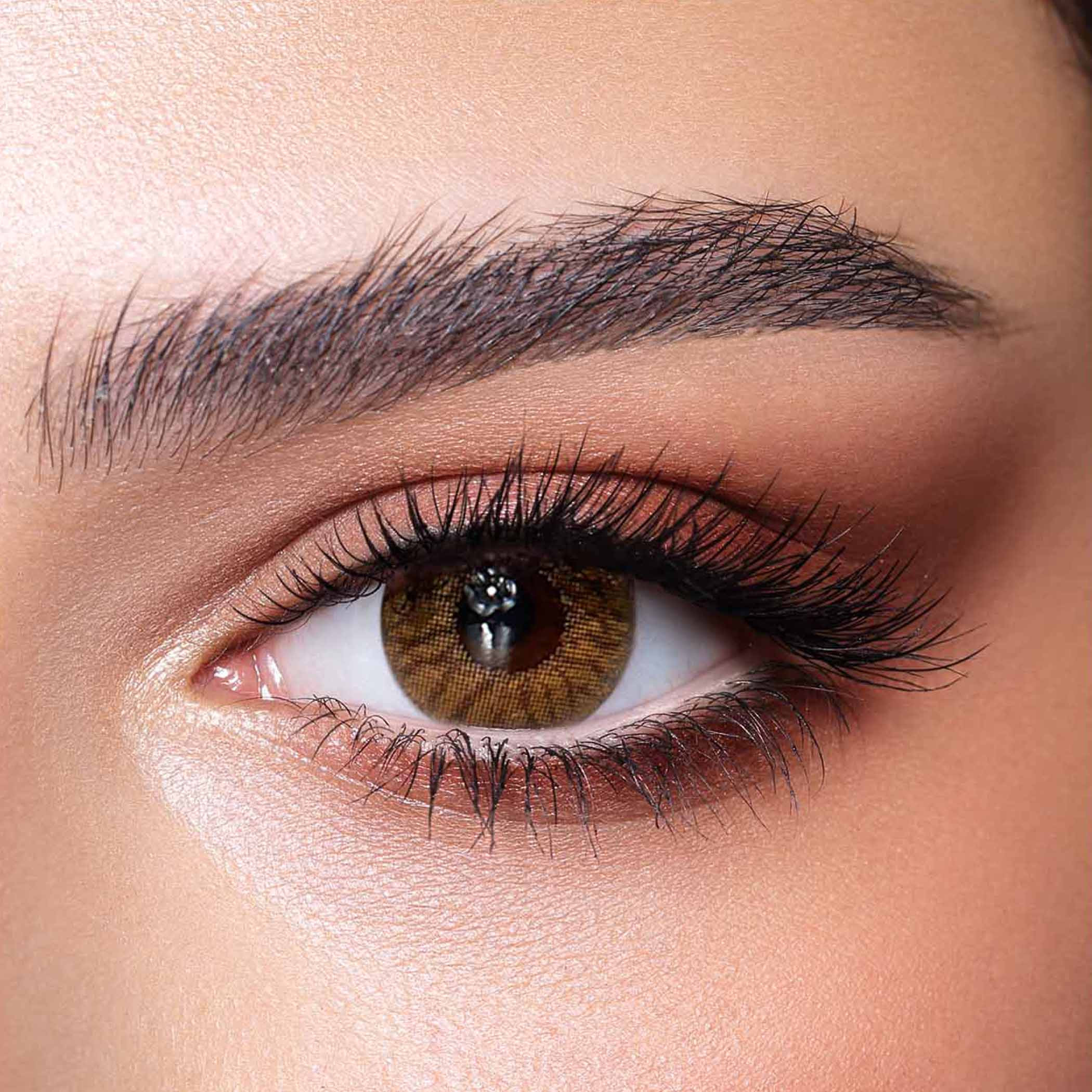 Bella Radiant Hazelnut Daily Contact Lenses - Set of 10-beautyandpersonalcare-makeup-eyes-colorcontactlenses-image-1