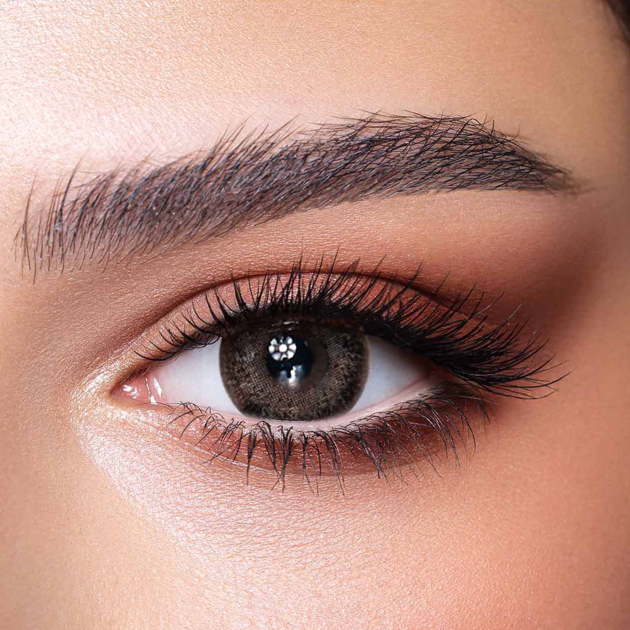 Bella Bluish Ash Brown Daily Contact Lenses - Set of 10-beautyandpersonalcare-makeup-eyes-colorcontactlenses-image-1