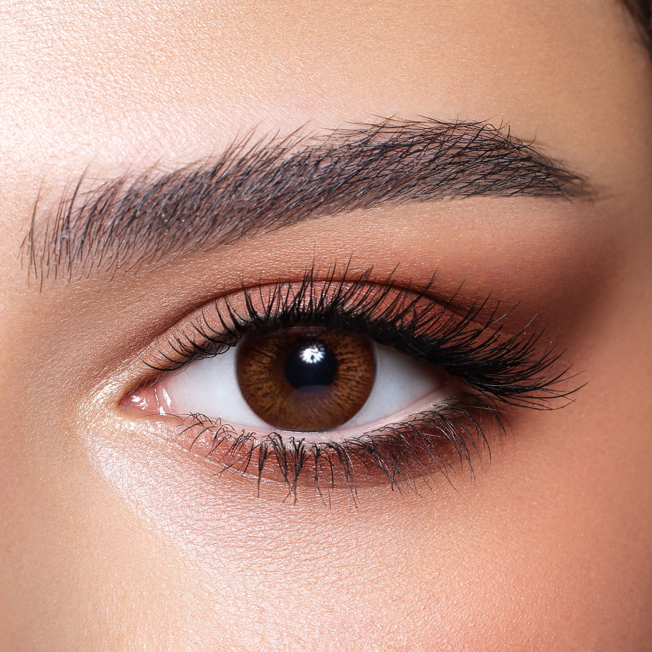 Bella Elite Cinnamon Brown Monthly Contact Lenses - Set of 2-beautyandpersonalcare-makeup-eyes-colorcontactlenses-image-1