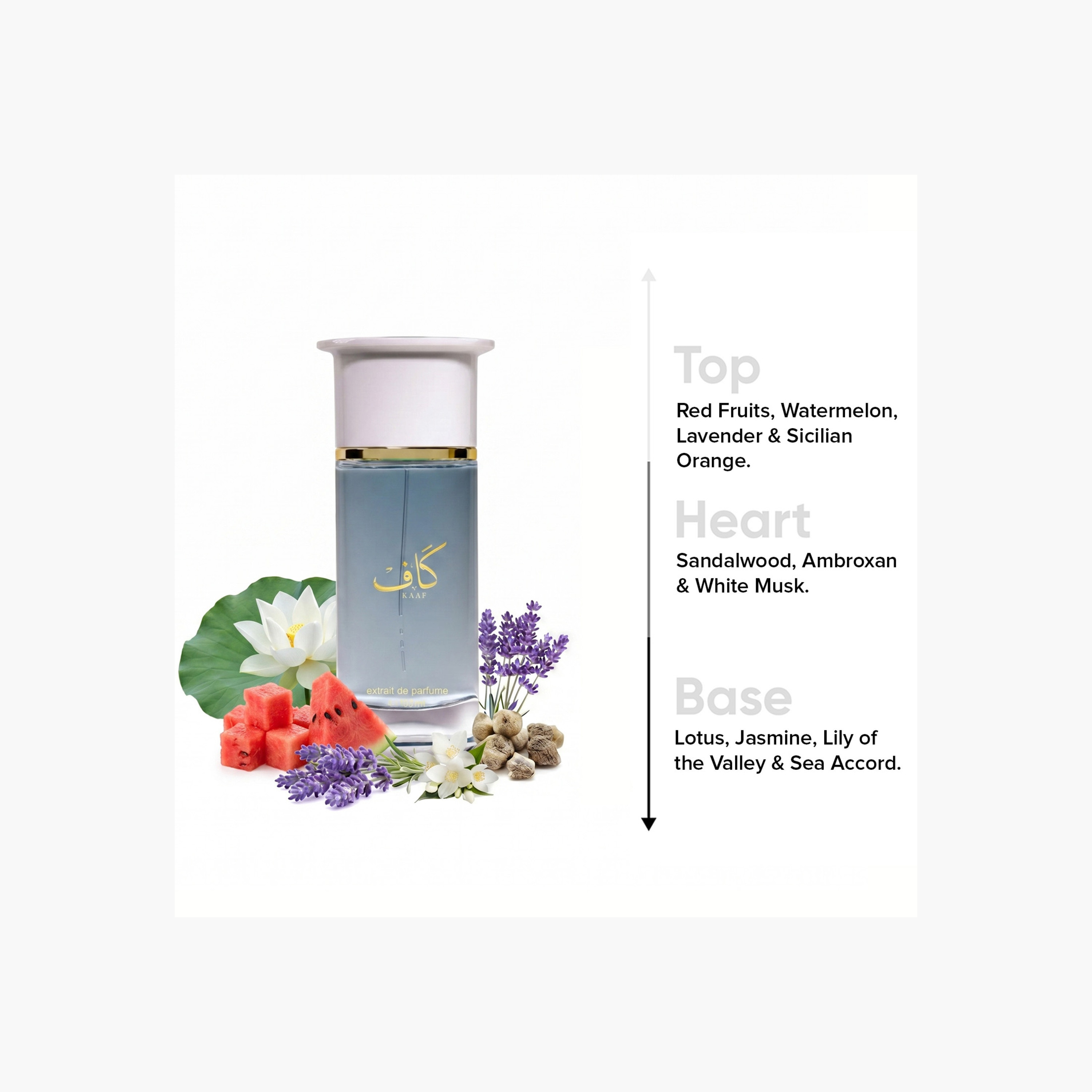 Ahmed Al Maghribi Kaaf Eau de Parfum - 100  ml-beautyandpersonalcare-fragrance-unisex-image-3
