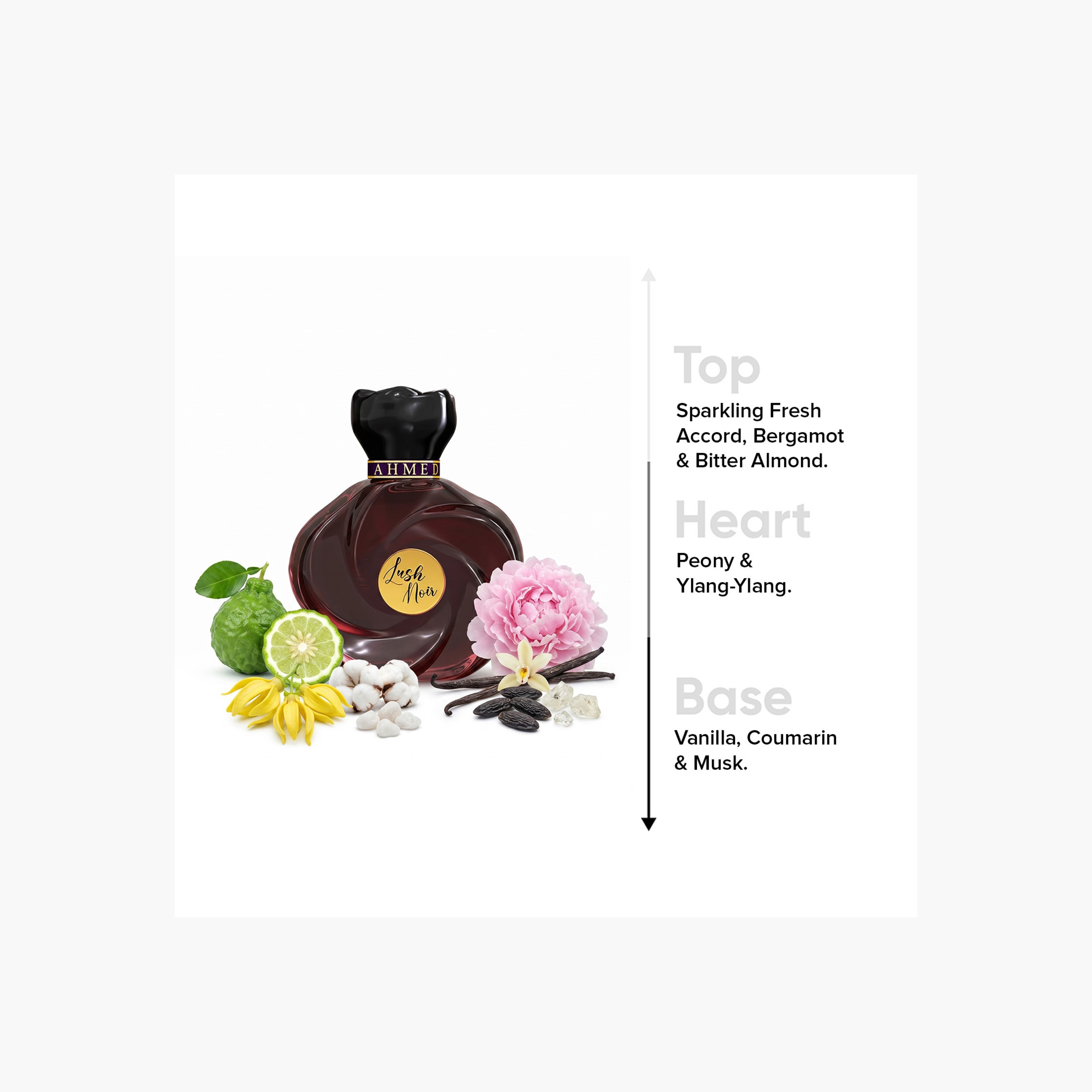 Ahmed Al Maghribi Lush Noir Eau de Parfum - 75 ml-beautyandpersonalcare-fragrance-unisex-image-3