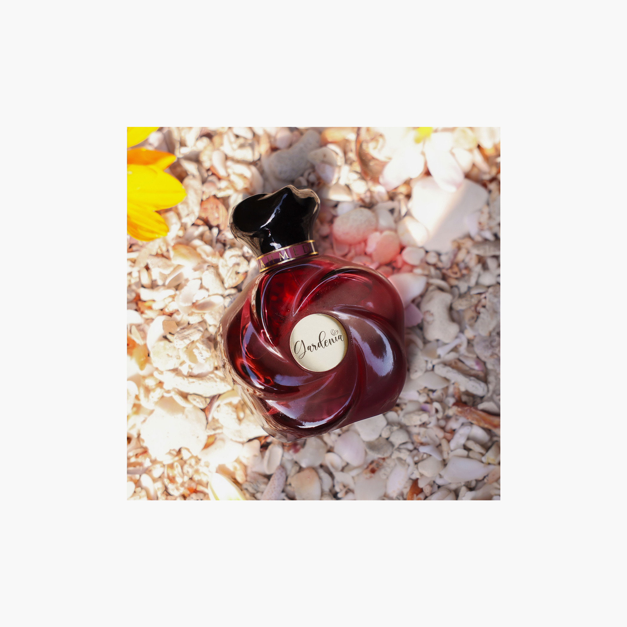 Ahmed Al Maghribi Gardenia Eau De Parfum - 75 ml-beautyandpersonalcare-fragrance-unisex-image-3