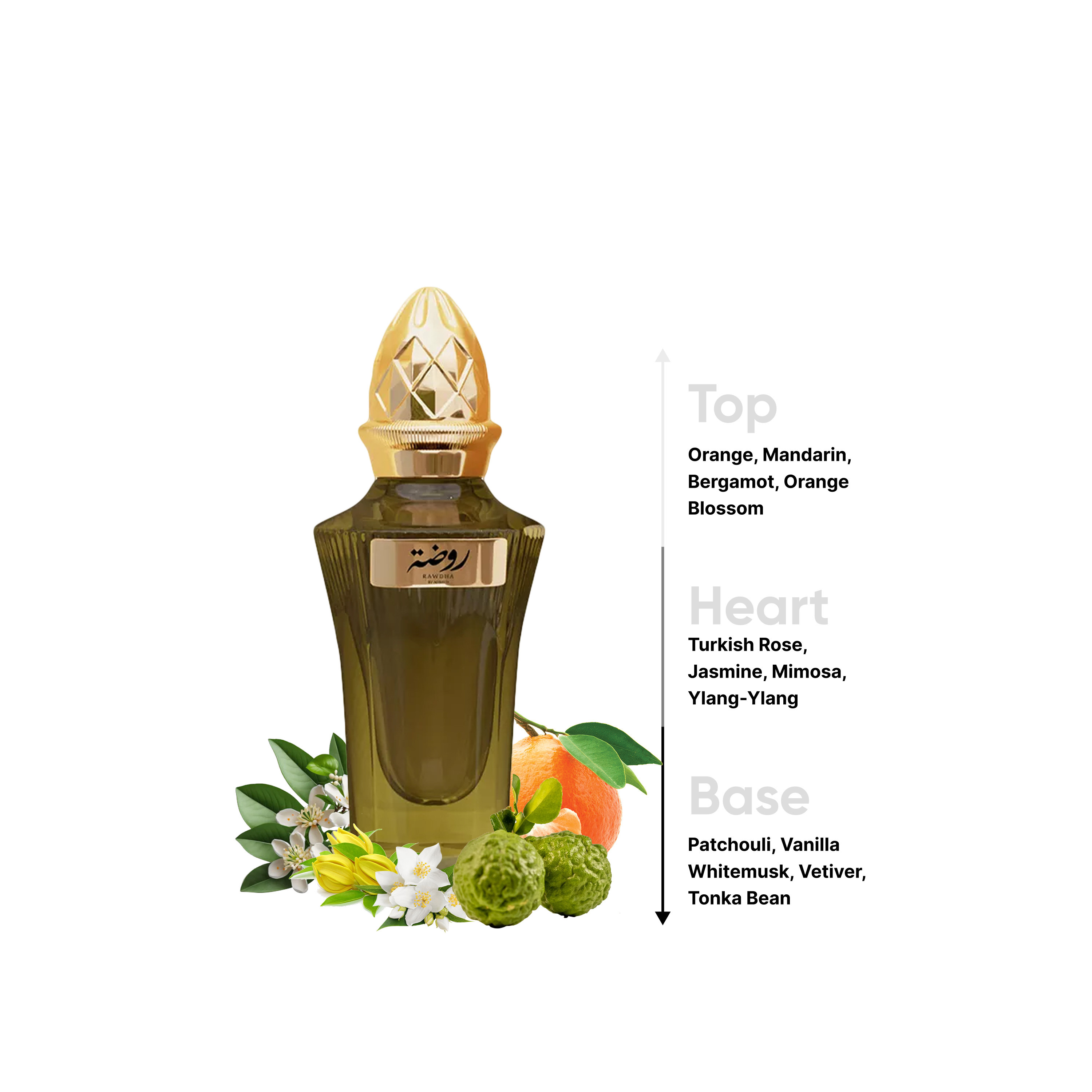 Ahmed Al Maghribi Rawdha By Ahmed Eau De Parfum - 50 ml-beautyandpersonalcare-fragrance-unisex-image-4