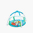 Fisher-Price 25-Ball Baby Ball Pit Playset-baby-infantactivity-playpensandplaymats-image-1