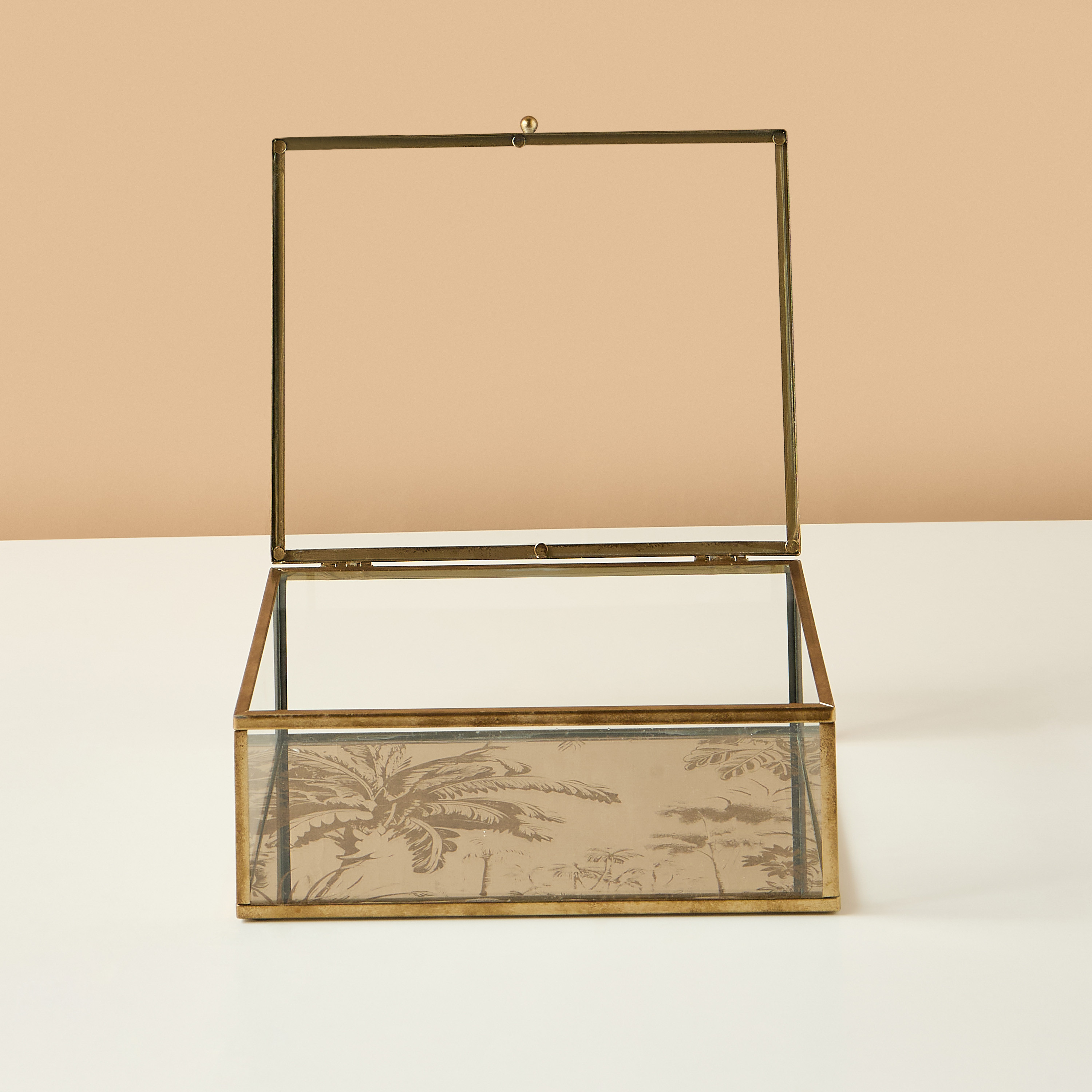 صندوق ديكور زجاجي-household-decor-decorativeobjectsandsculptures-image-3