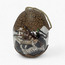 UCOK 13-Piece Wildlife Toys Set with Storage Egg-toys-playfigures-animals-image-2