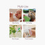 مجمع حليب الثدي القابل لإعادة الاستخدام كولوستروم 6 قطع من مامكوزي - 5 مل-baby-feeding-breastfeedingandcare-image-2